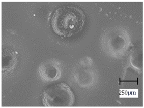 Molecules 28 07035 i012