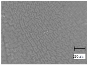 Molecules 28 07035 i013