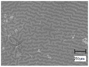 Molecules 28 07035 i015