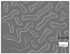 Molecules 28 07035 i016