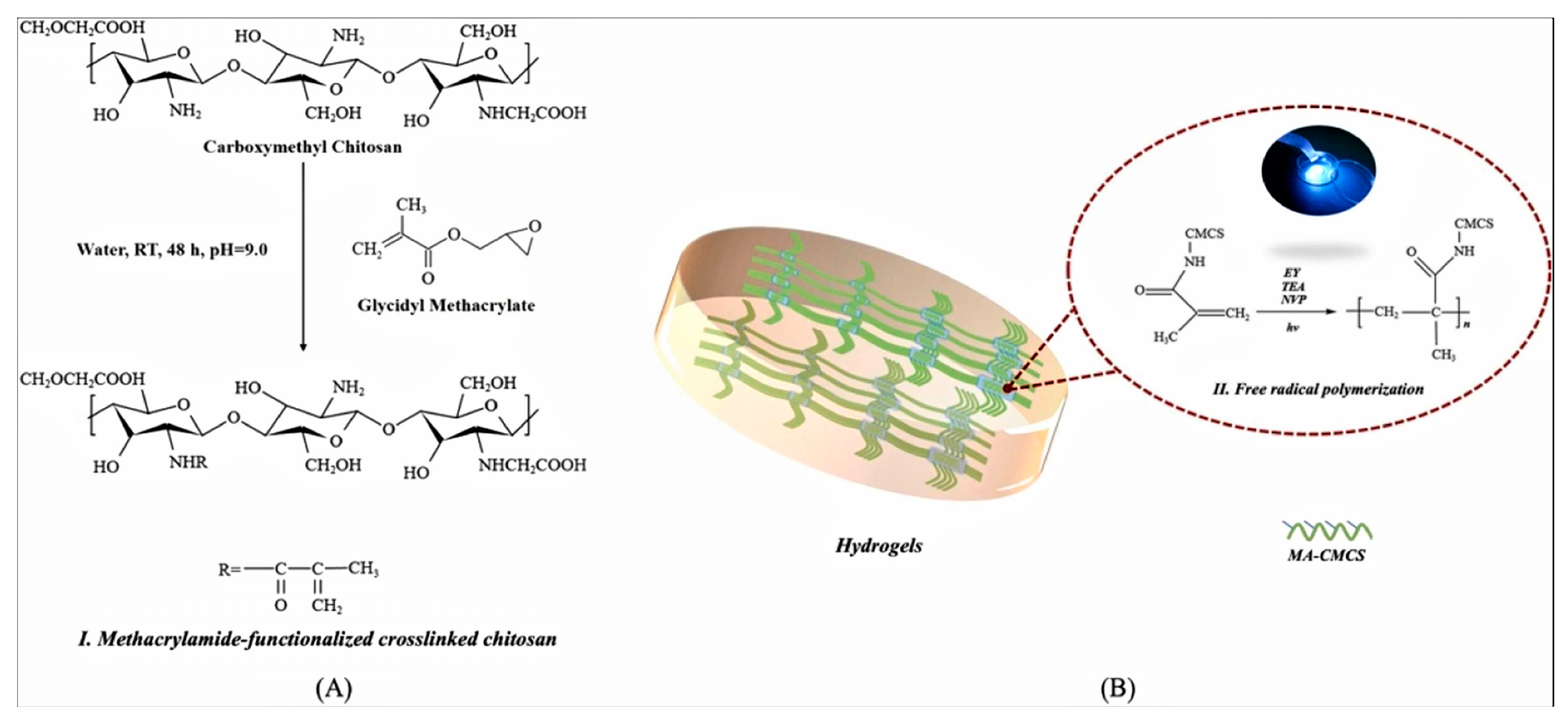 Molecules 28 07039 g004