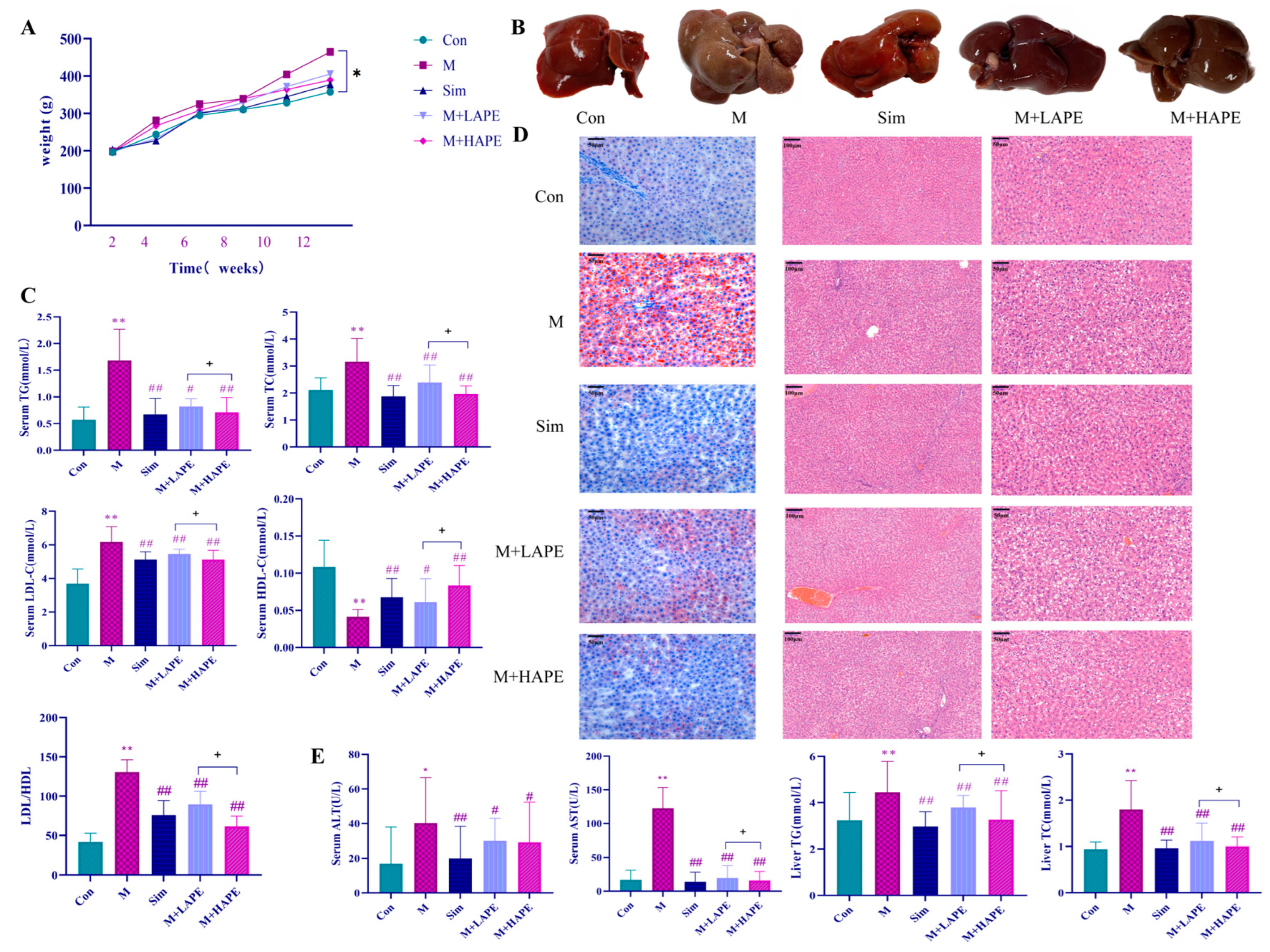 Molecules 28 07049 g002
