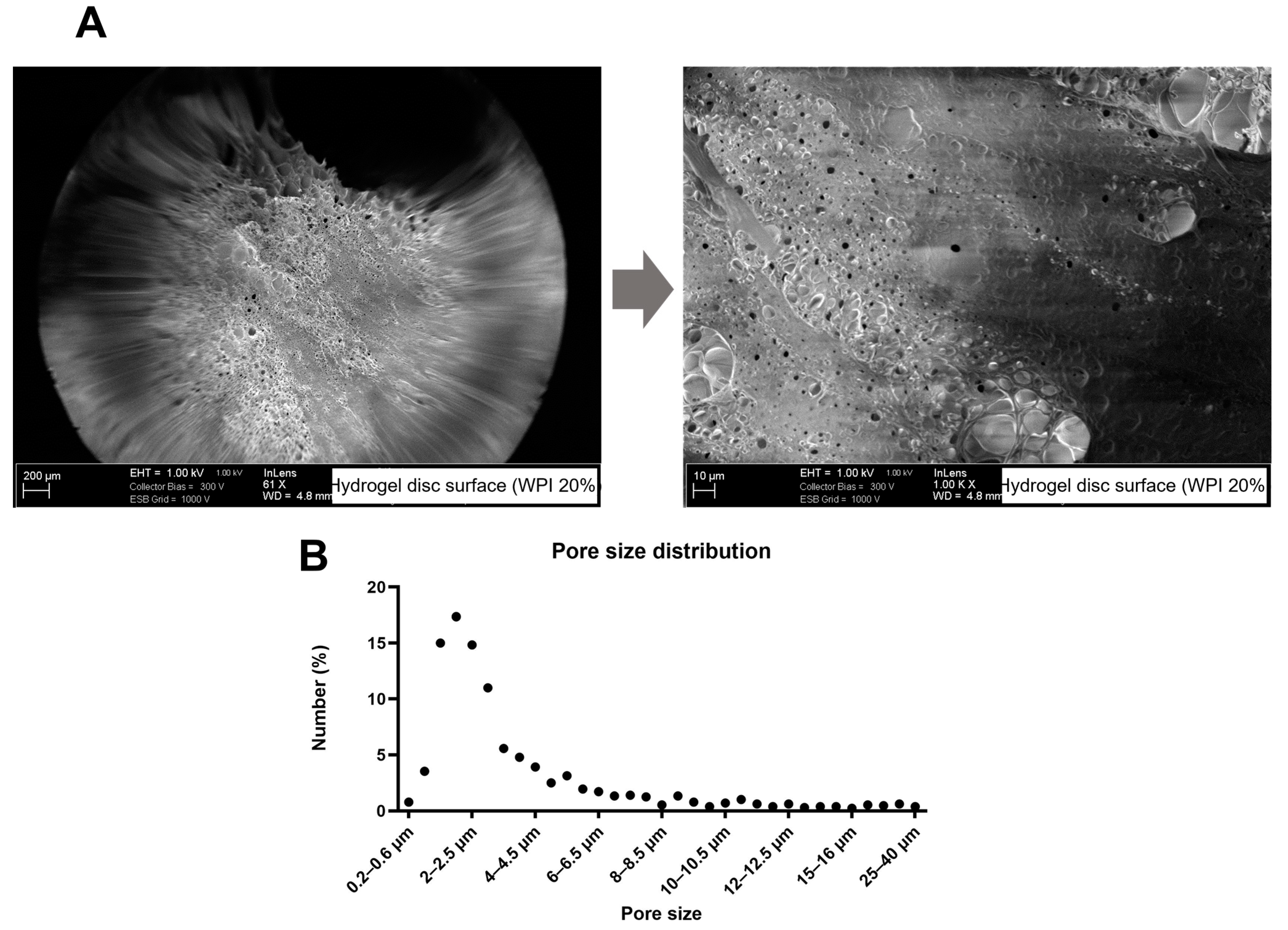 Molecules 28 07052 g004 Molecules 28 07052 g004