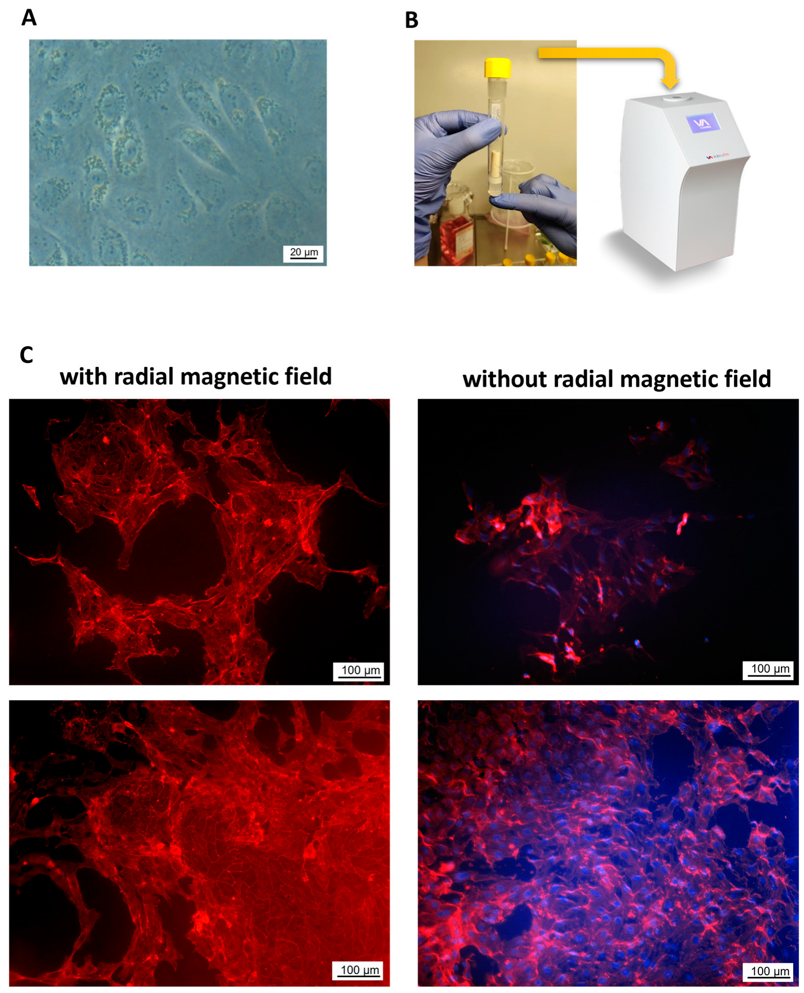 Molecules 28 07052 g006 Molecules 28 07052 g006