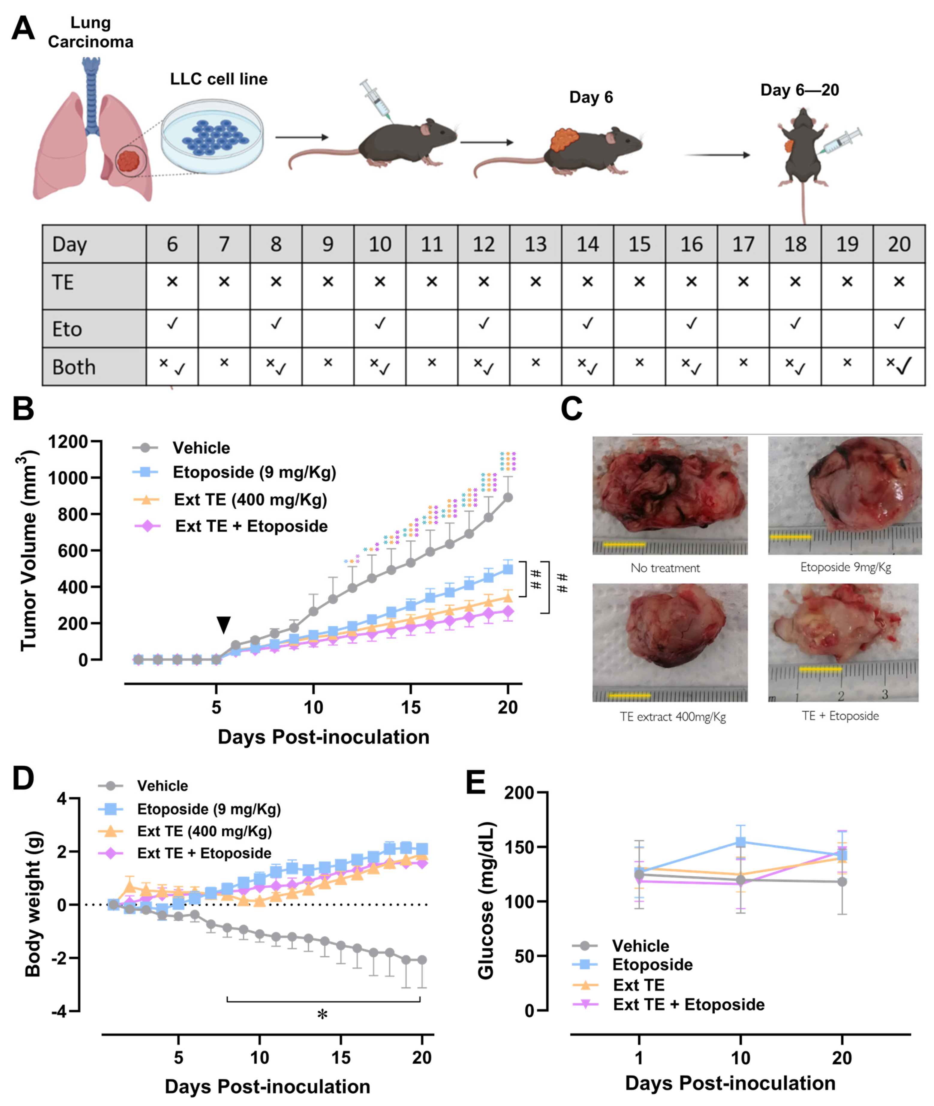 Molecules 28 07055 g004