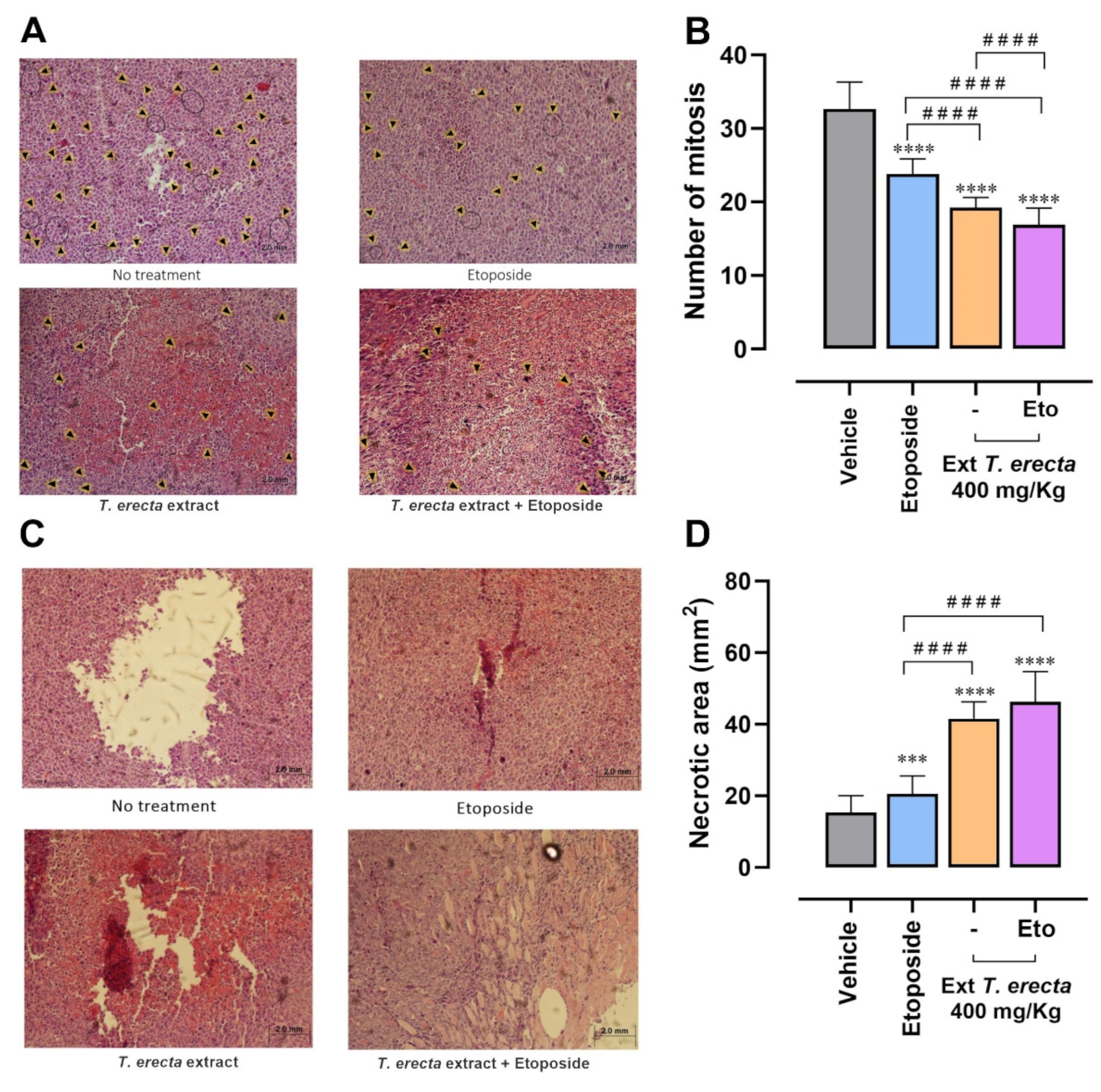 Molecules 28 07055 g005