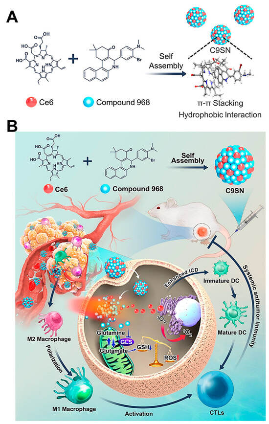 Advance Progress in Assembly Mechanisms of Carrier-Free Nanodrugs for ...