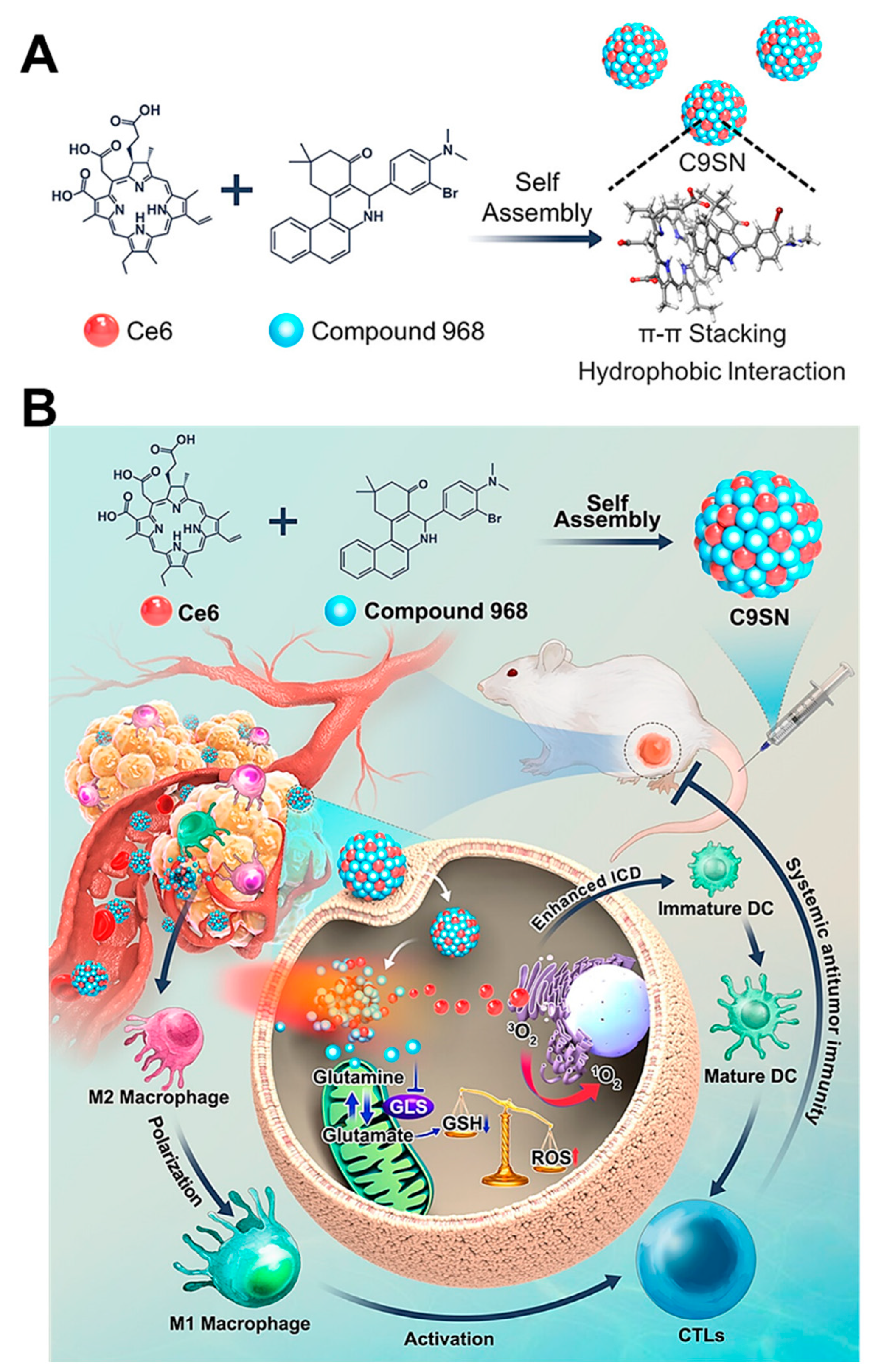 Molecules 28 07065 g002