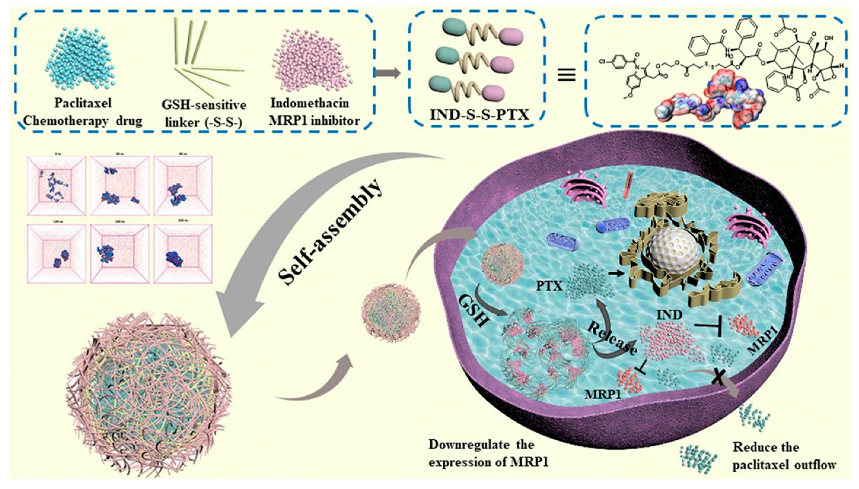 Molecules 28 07065 g006