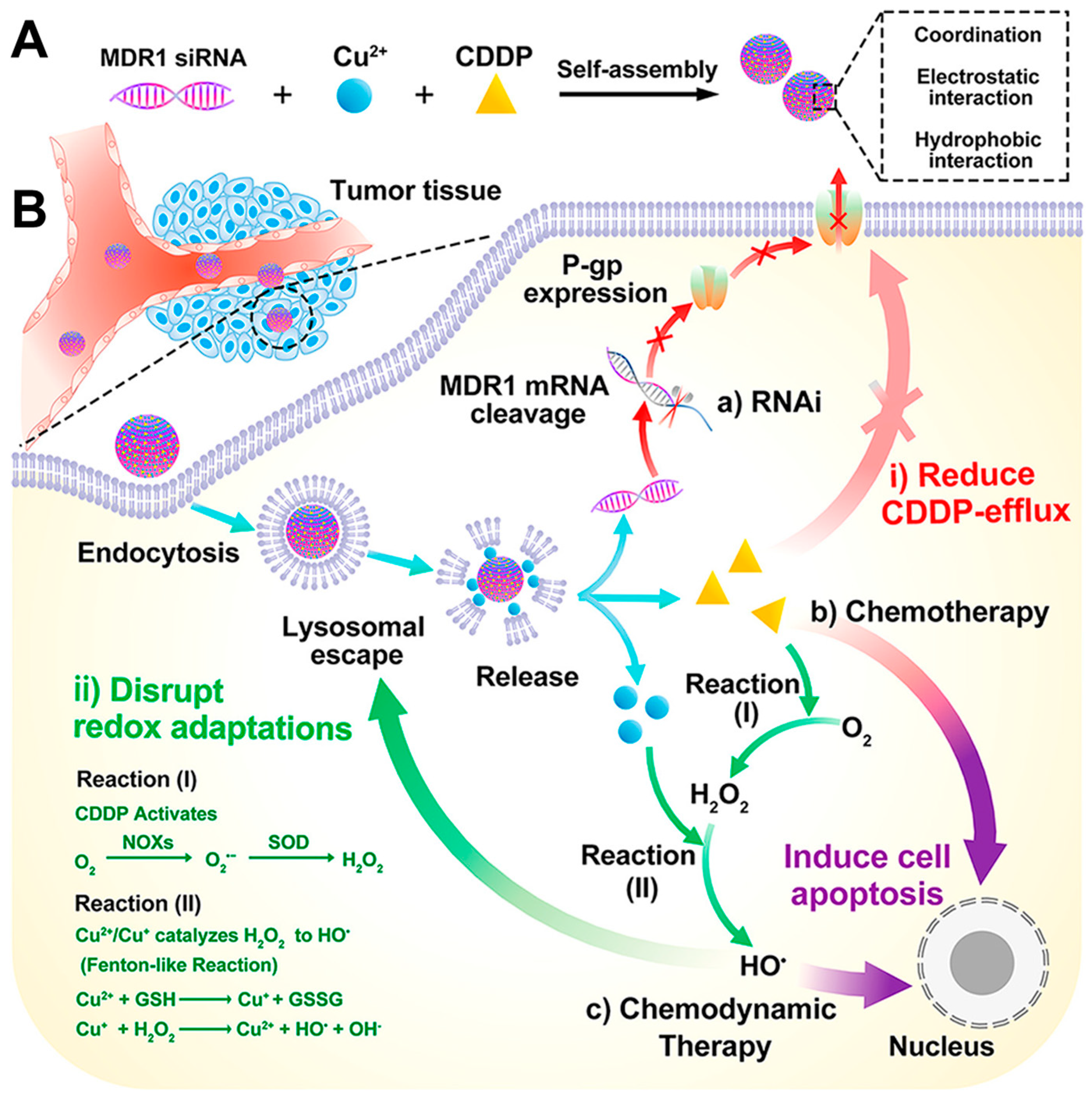 Molecules 28 07065 g010