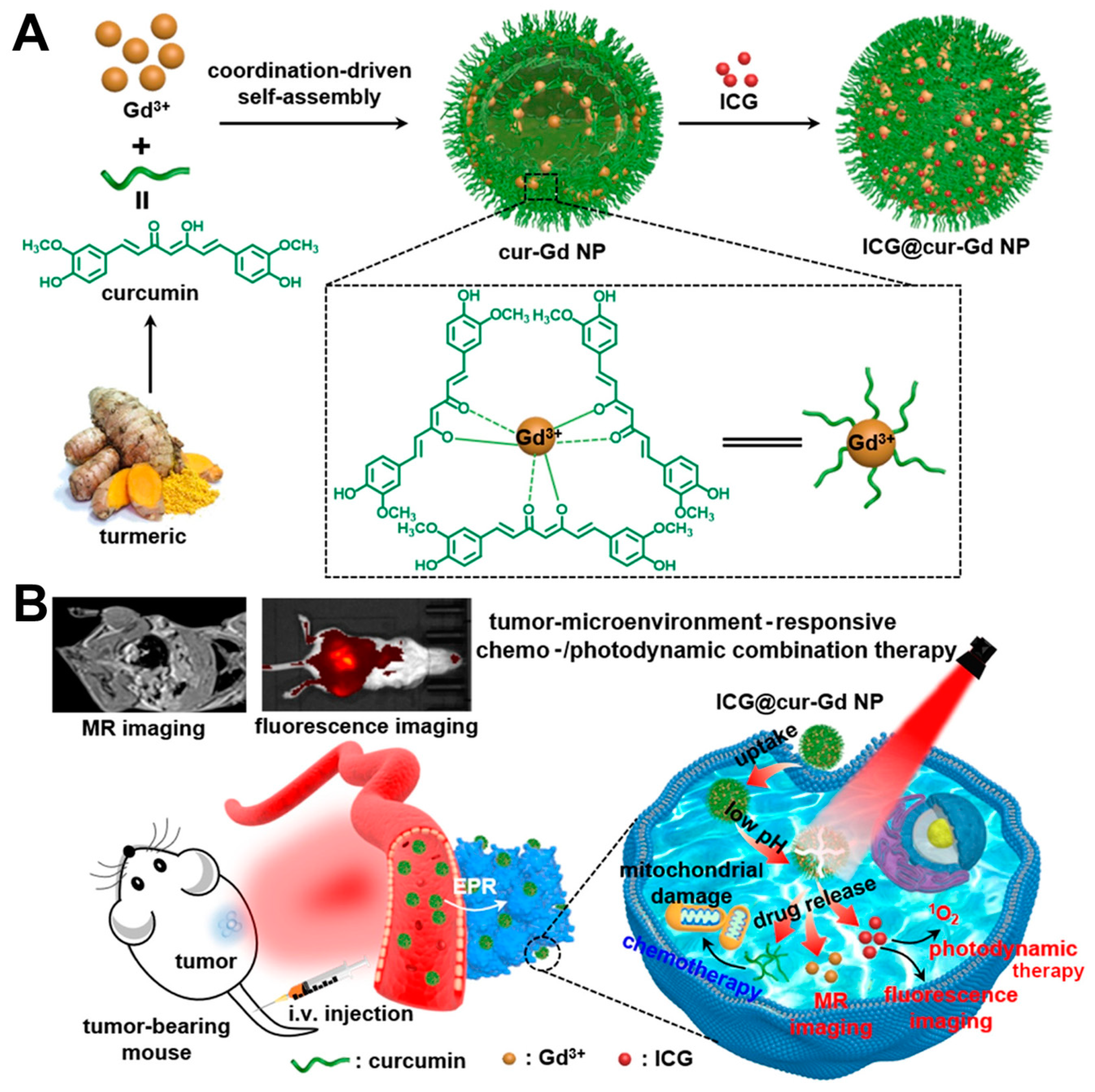 Molecules 28 07065 g012