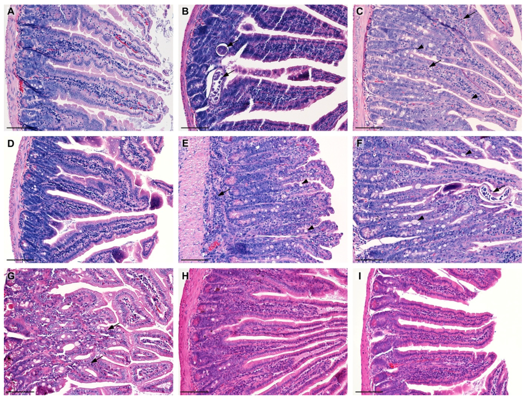 Molecules 28 07067 g001