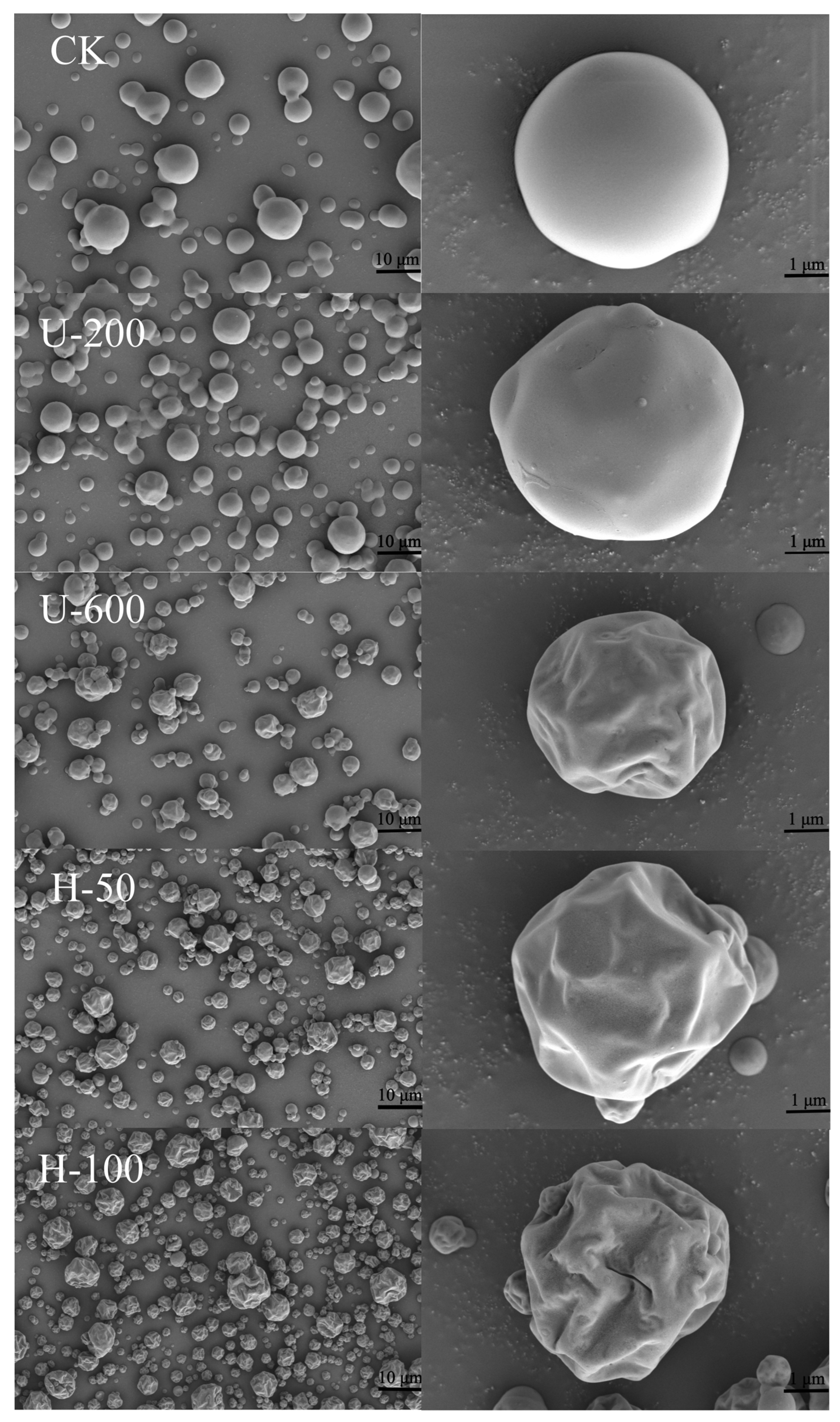 Molecules 28 07075 g003