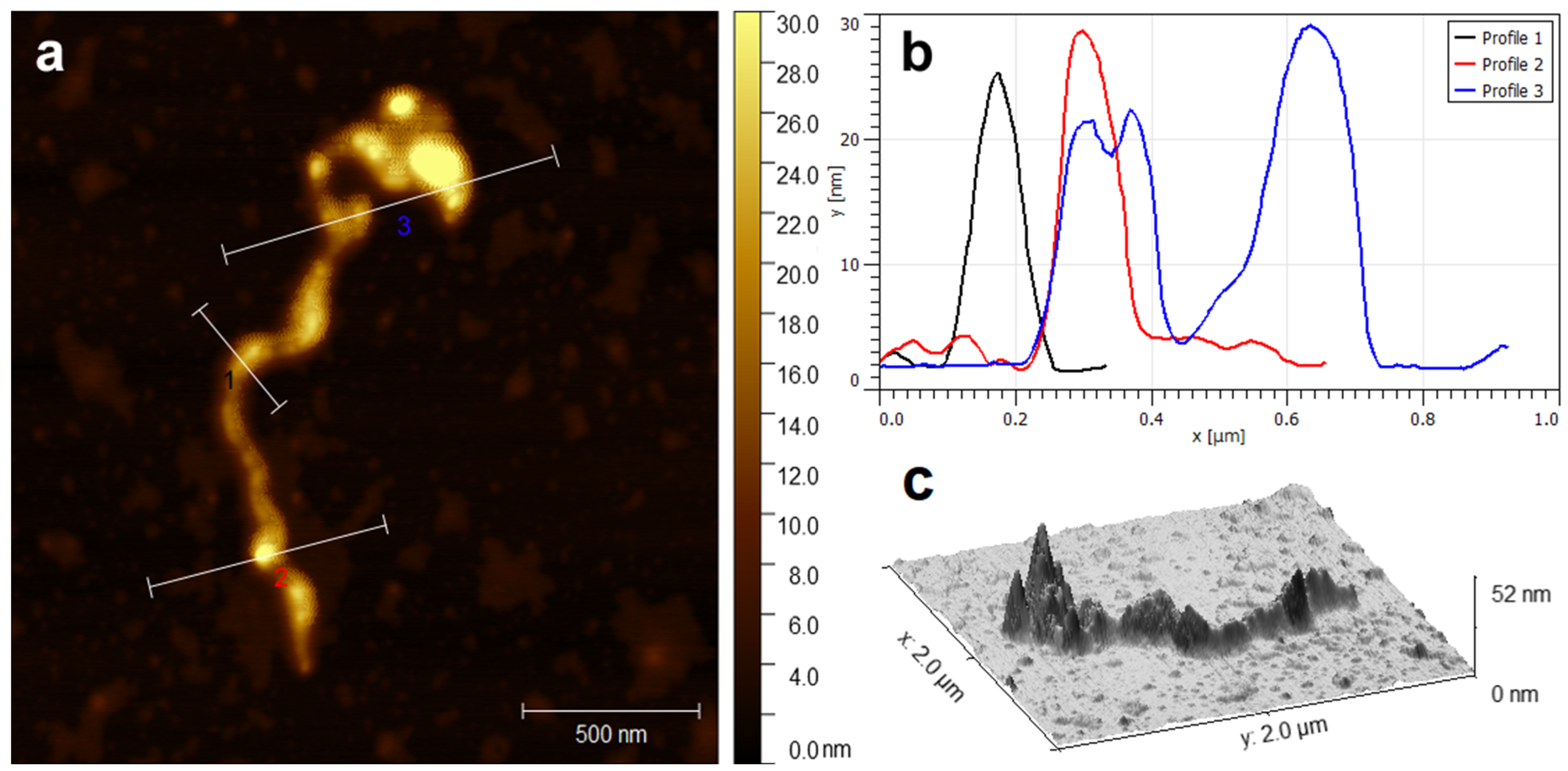 Molecules 28 07076 g004 Molecules 28 07076 g004