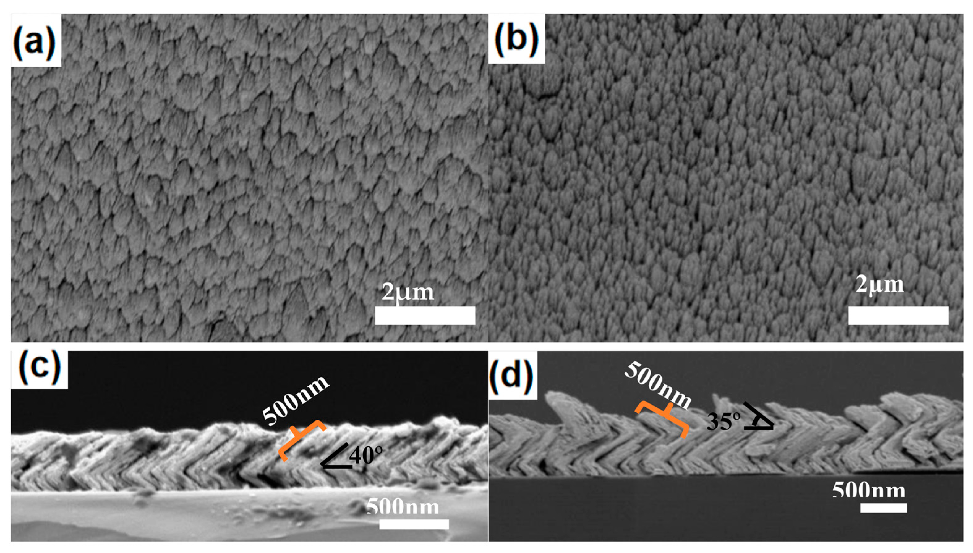 Molecules 28 07078 g004