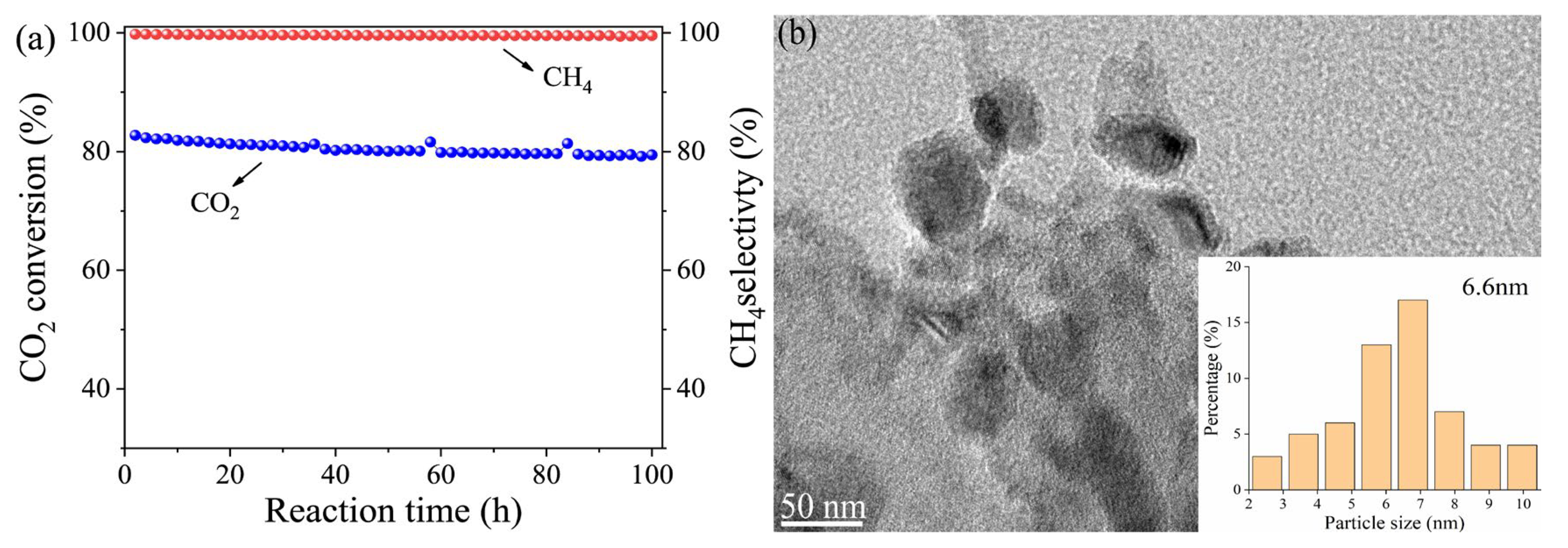 Molecules 28 07079 g010 Molecules 28 07079 g010