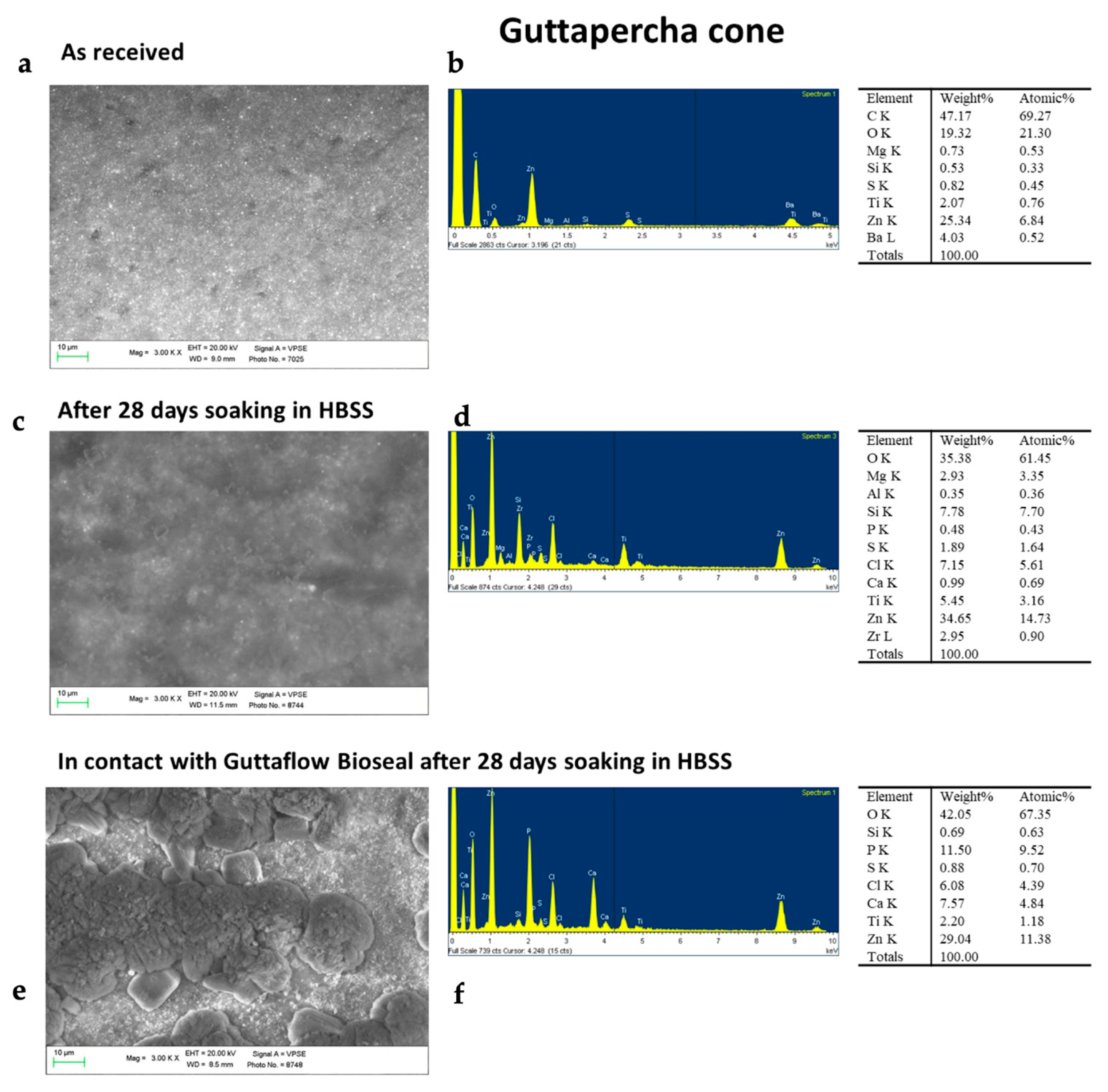 Molecules 28 07088 g005 Molecules 28 07088 g005