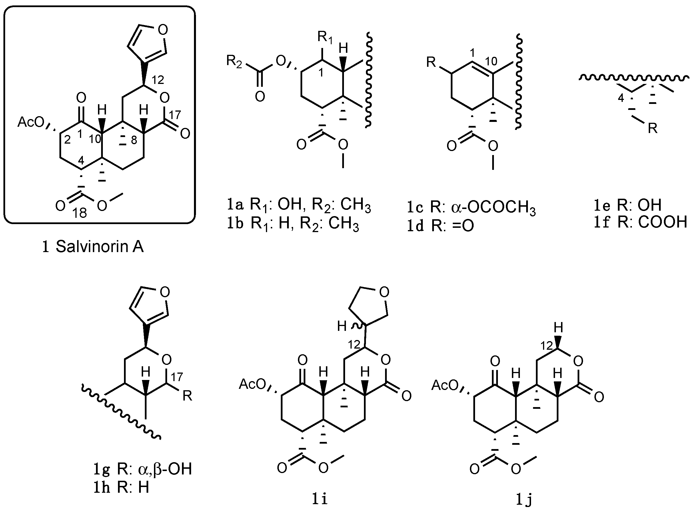 Molecules 28 07089 g005 Molecules 28 07089 g005