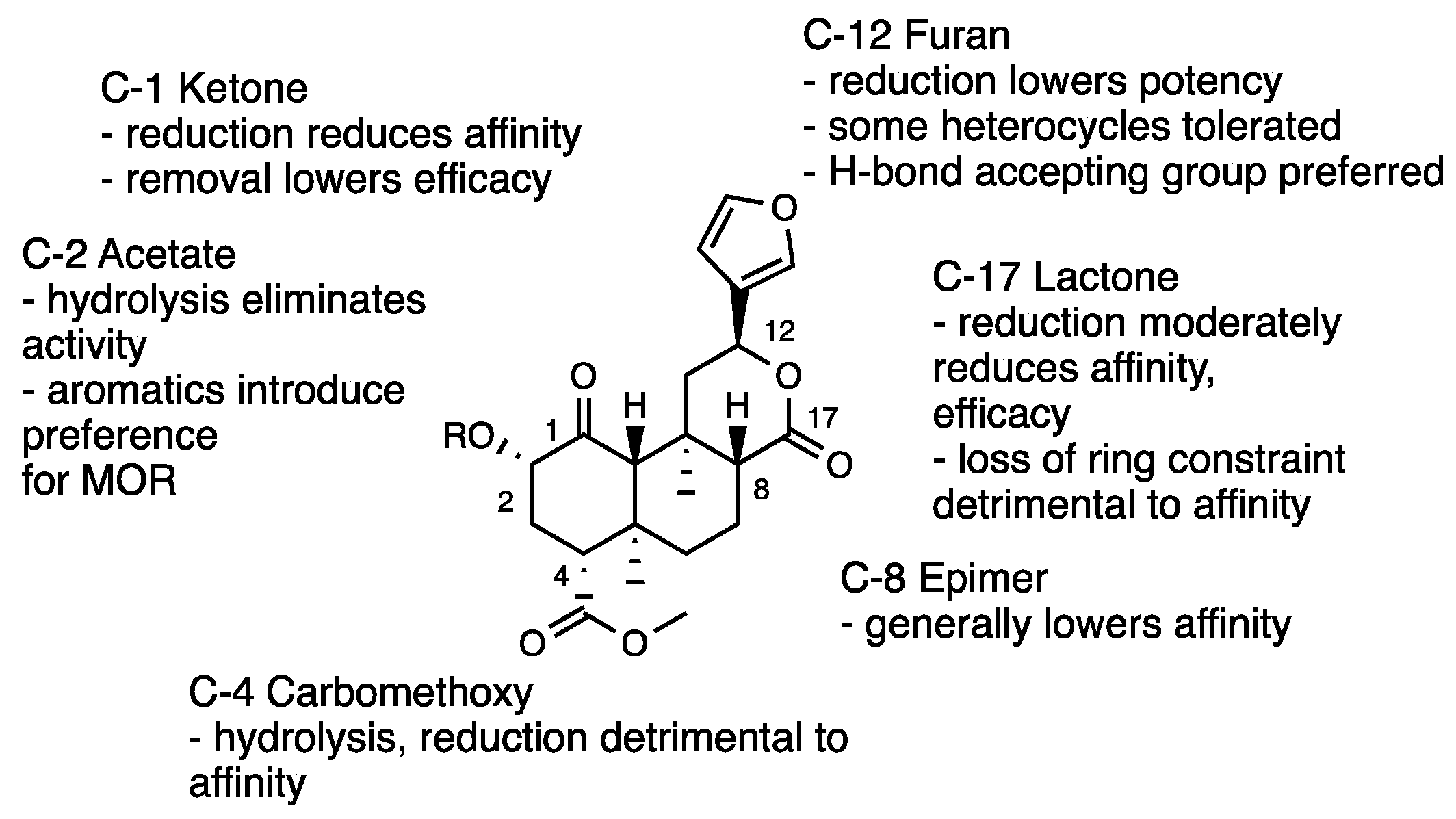 Molecules 28 07089 g006 Molecules 28 07089 g006