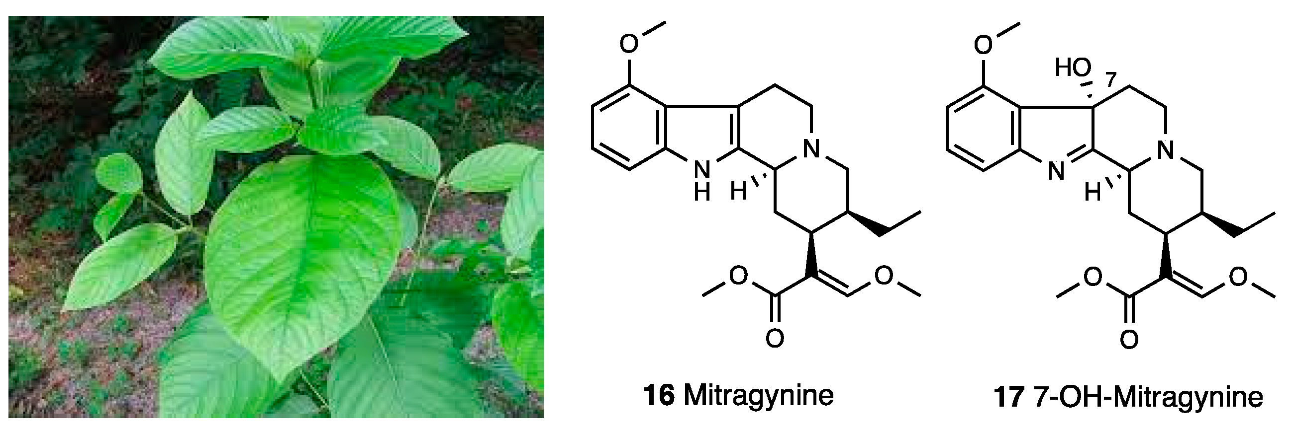 Molecules 28 07089 g007 Molecules 28 07089 g007