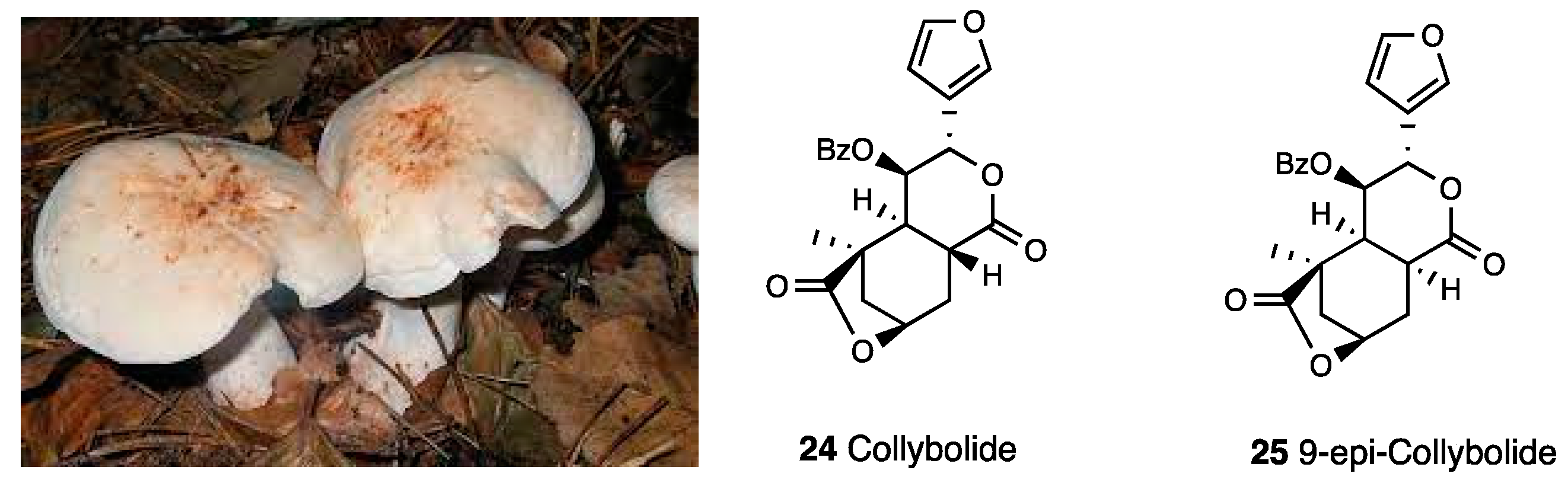 Molecules 28 07089 g010 Molecules 28 07089 g010