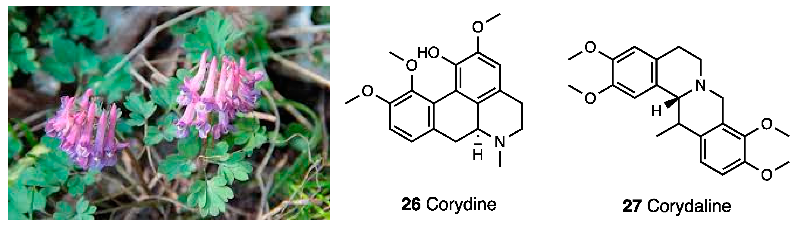 Molecules 28 07089 g011 Molecules 28 07089 g011