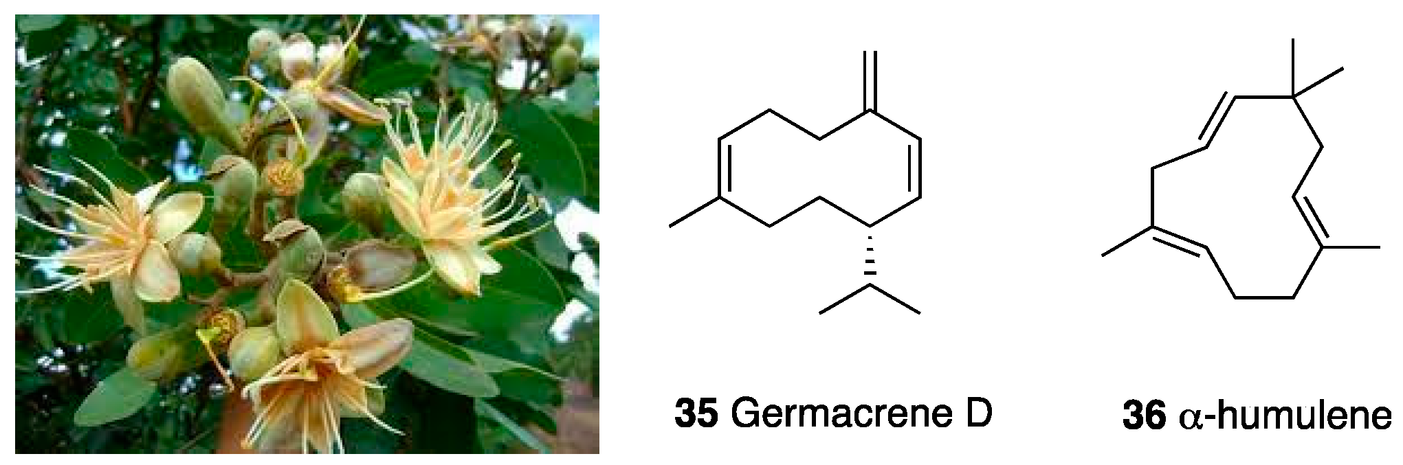 Molecules 28 07089 g015 Molecules 28 07089 g015