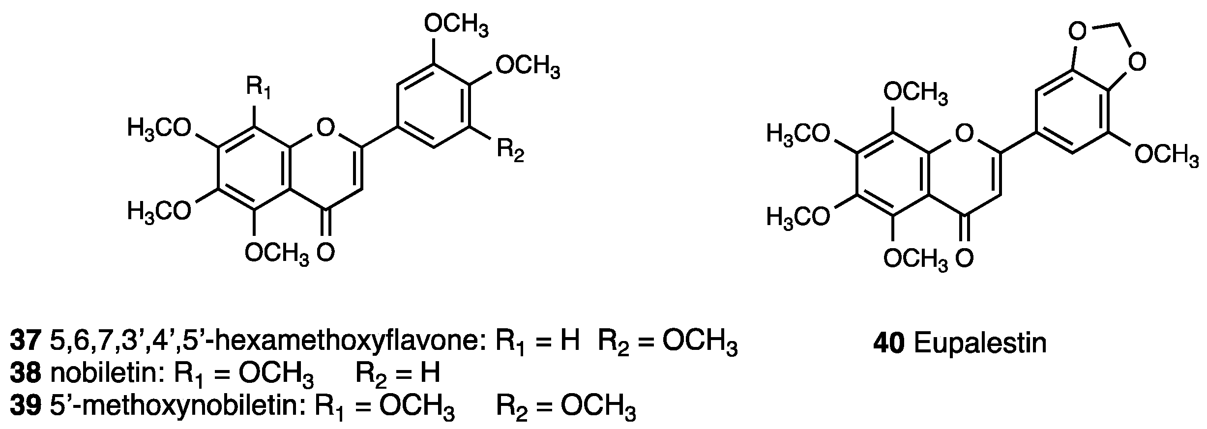 Molecules 28 07089 g017 Molecules 28 07089 g017