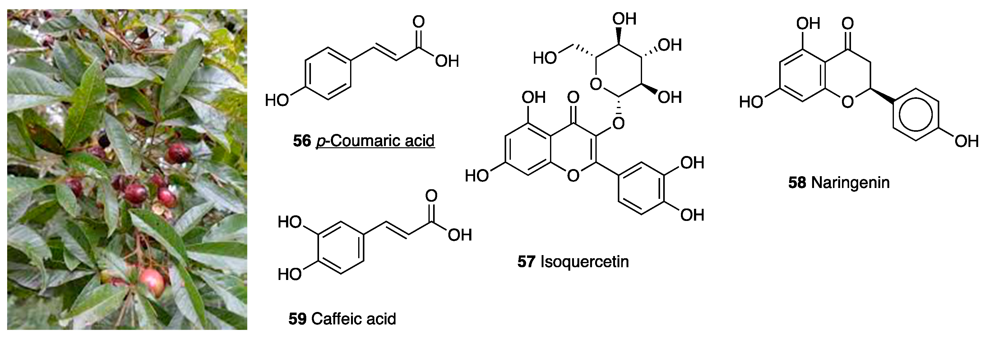 Molecules 28 07089 g025 Molecules 28 07089 g025