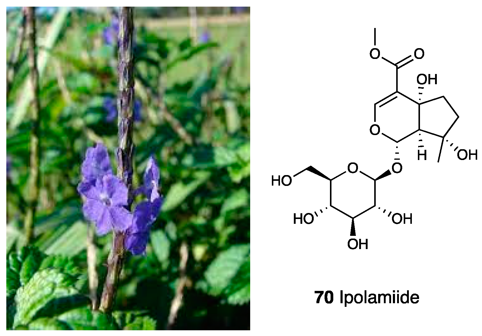 Molecules 28 07089 g030 Molecules 28 07089 g030