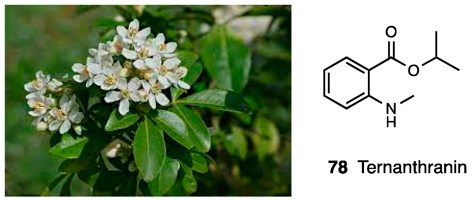 Molecules 28 07089 g034 Molecules 28 07089 g034