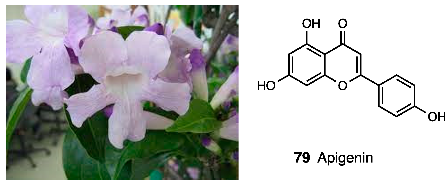 Molecules 28 07089 g035 Molecules 28 07089 g035