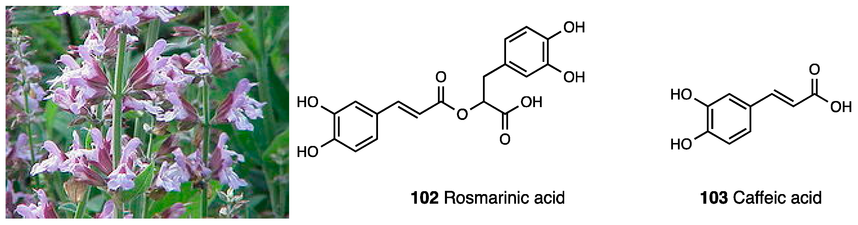 Molecules 28 07089 g048 Molecules 28 07089 g048