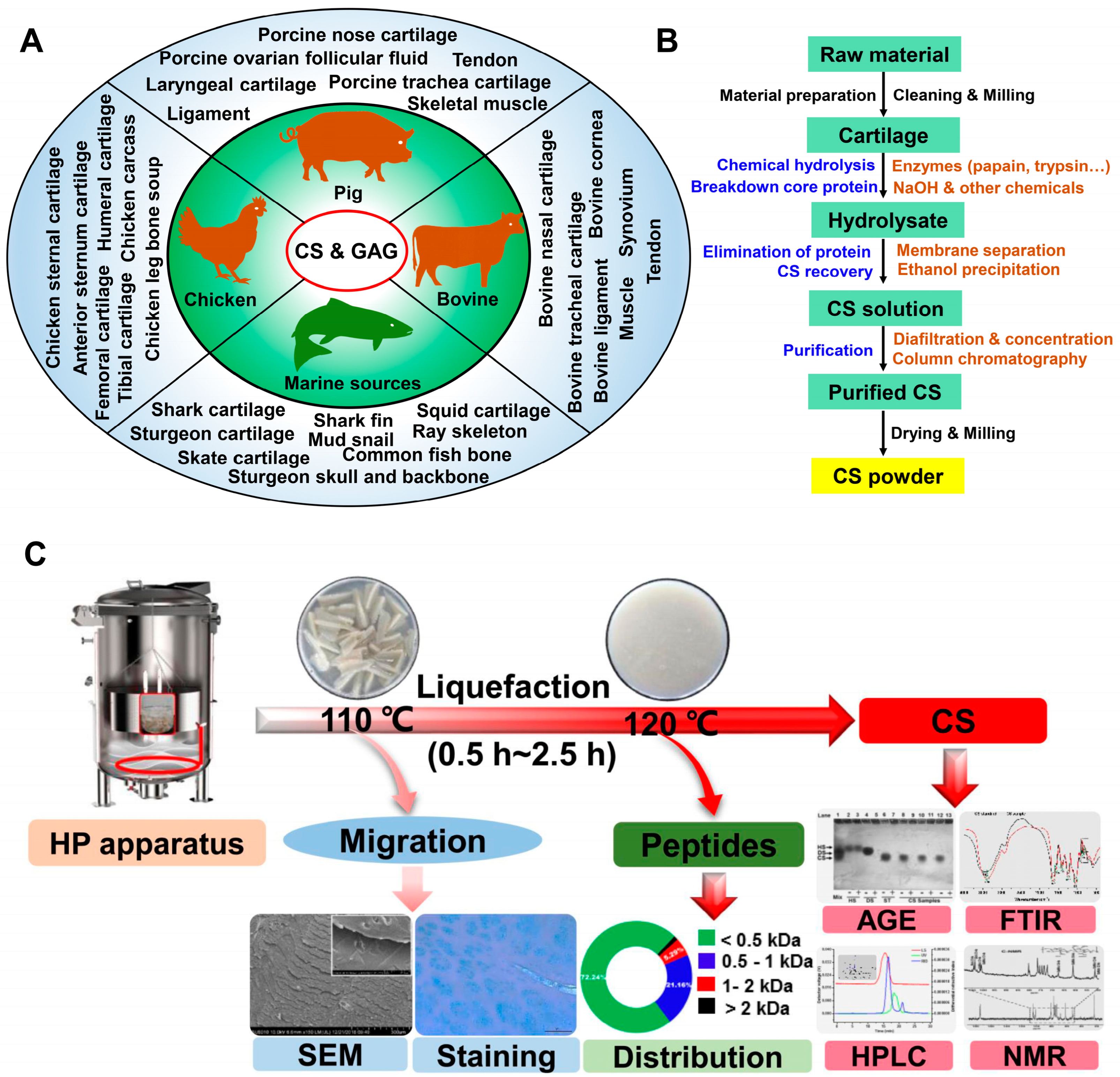Molecules 28 07093 g001