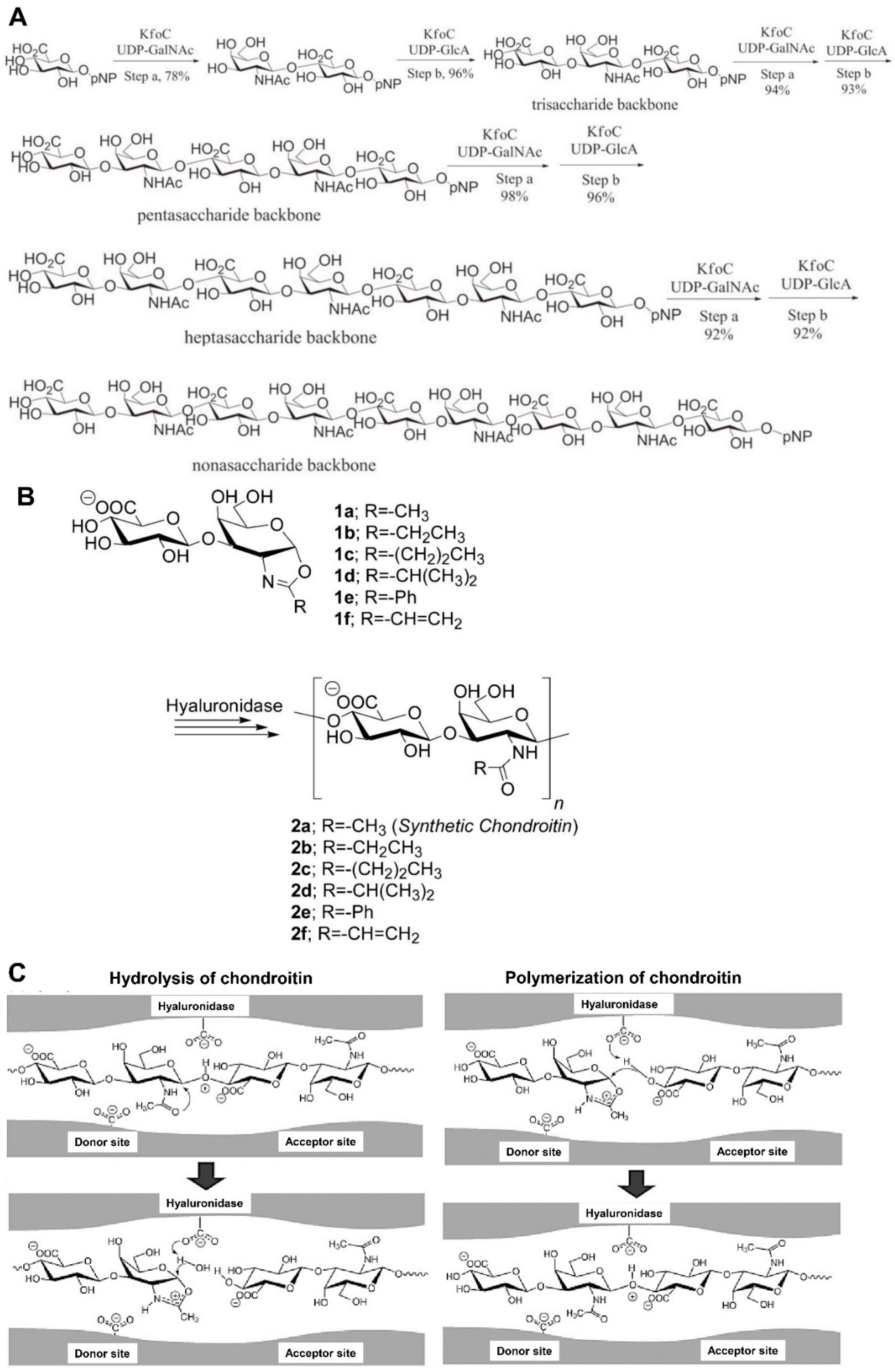 Molecules 28 07093 g002