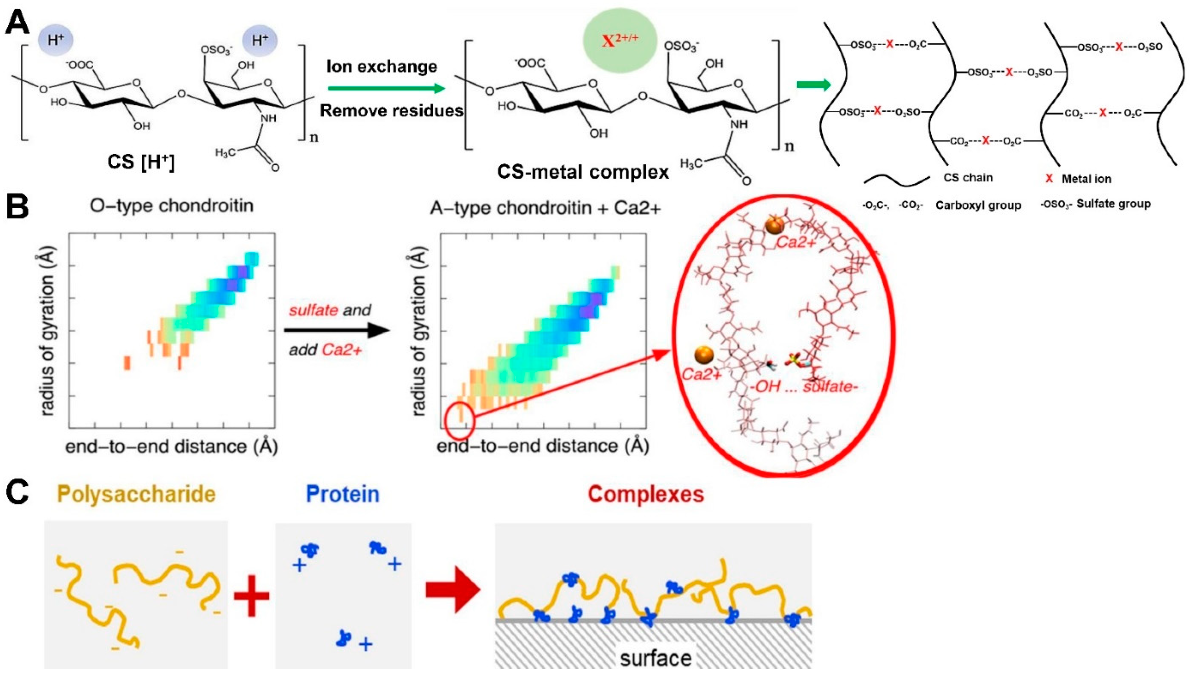 Molecules 28 07093 g006