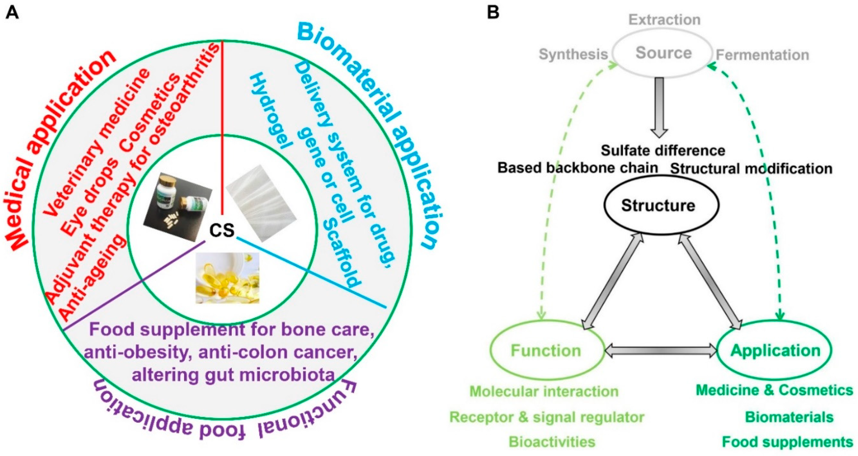 Molecules 28 07093 g008