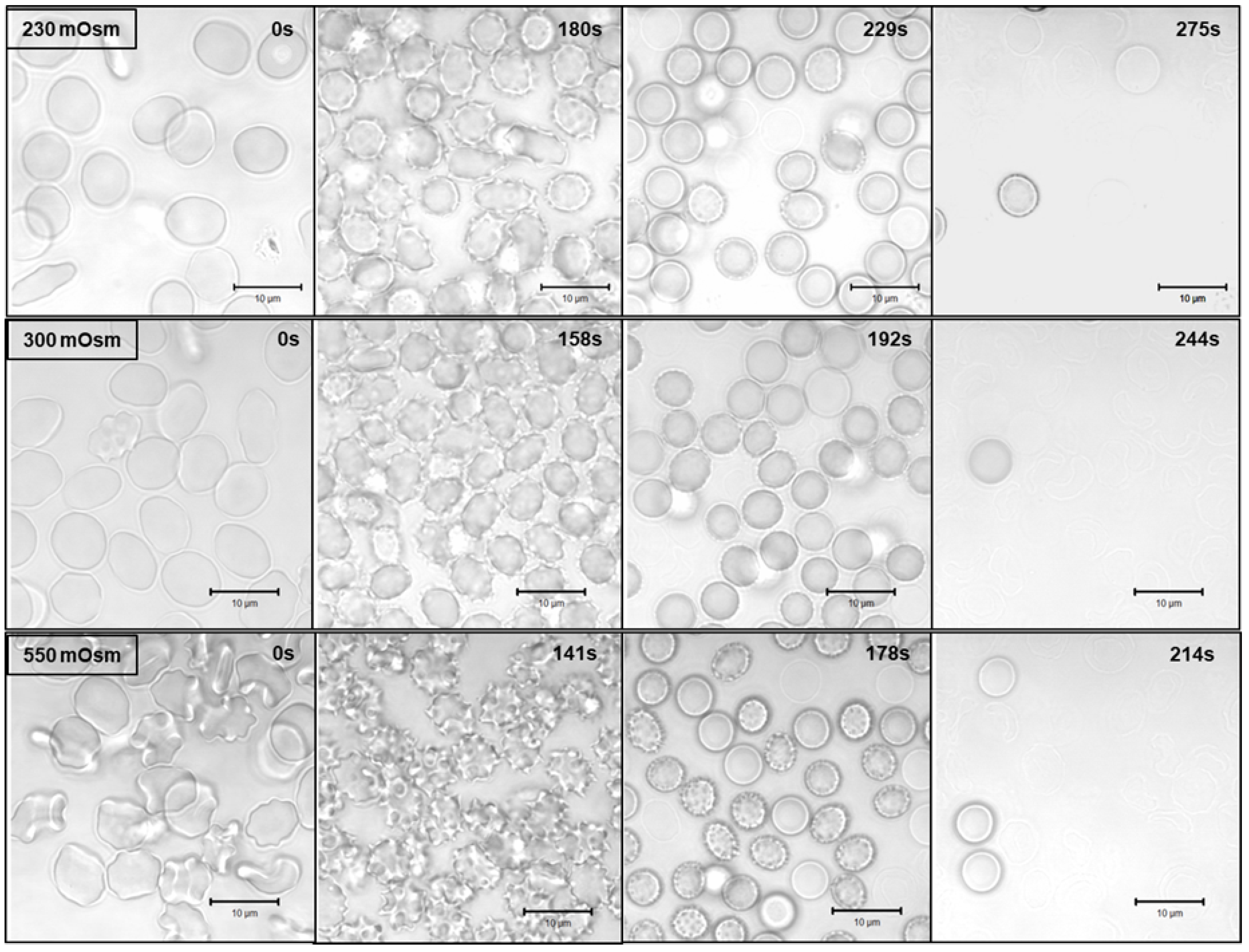Molecules 28 07096 g003 Molecules 28 07096 g003