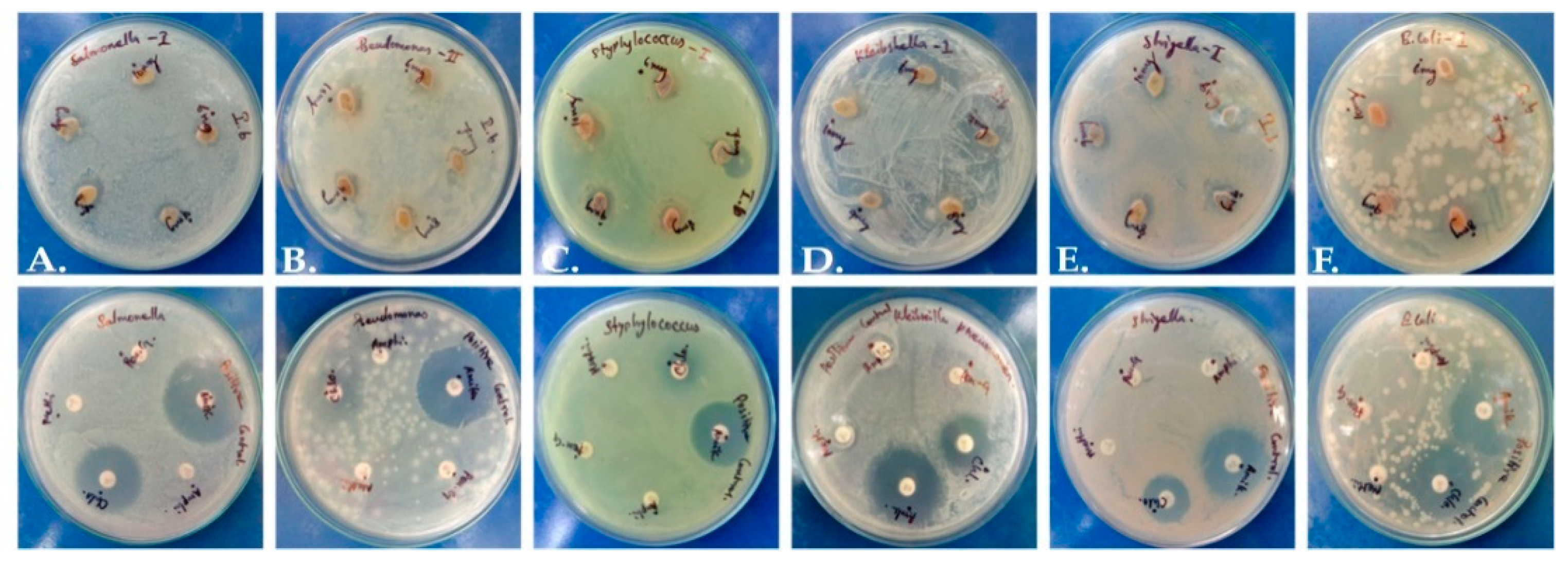 Molecules 28 07101 g002