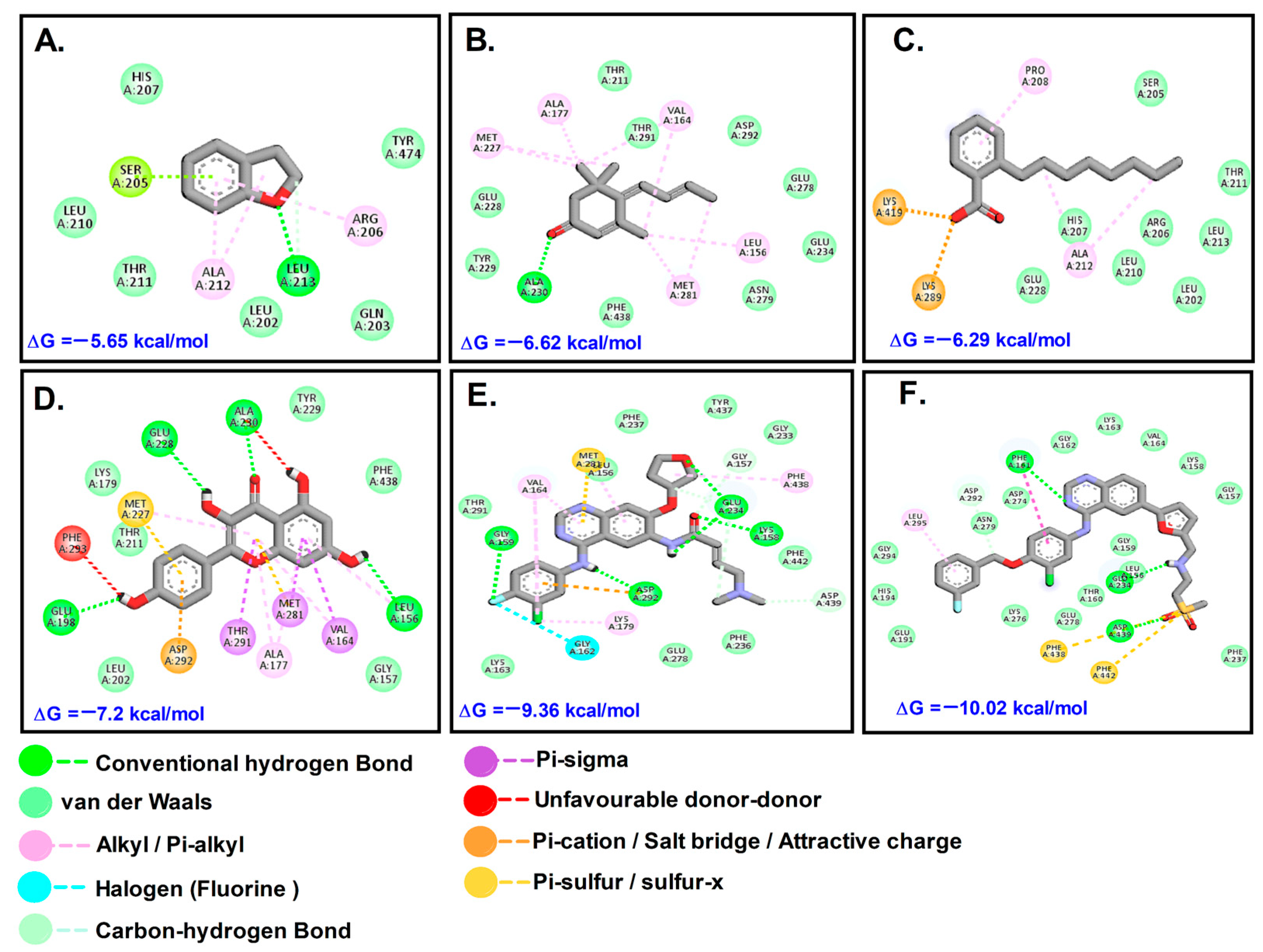 Molecules 28 07101 g005