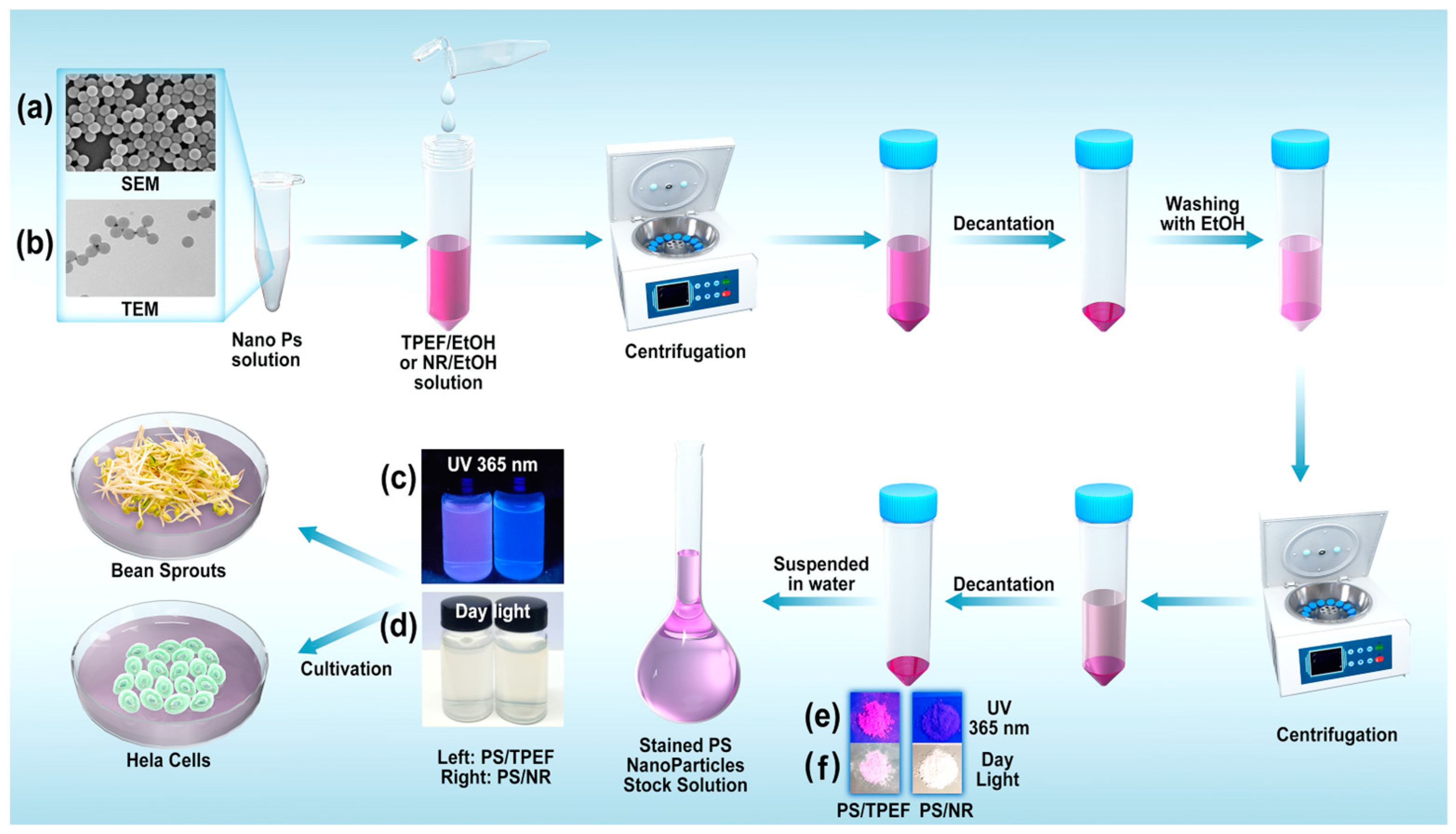 Molecules 28 07102 g005