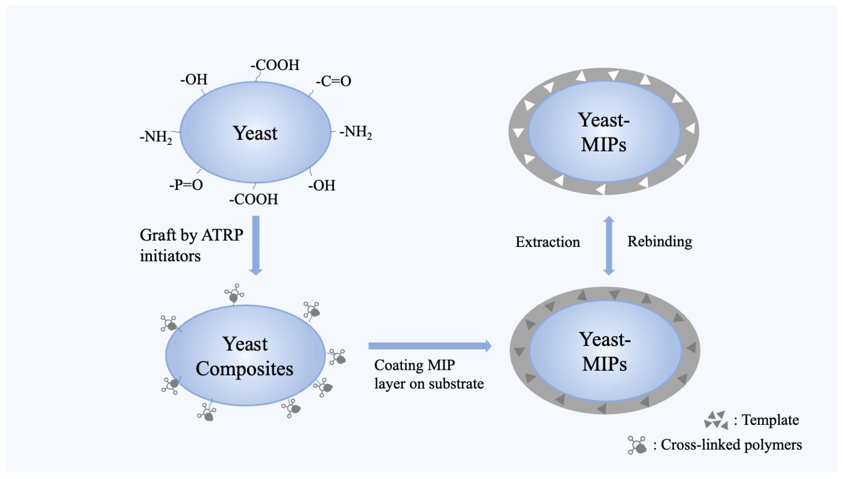 Molecules 28 07103 g003