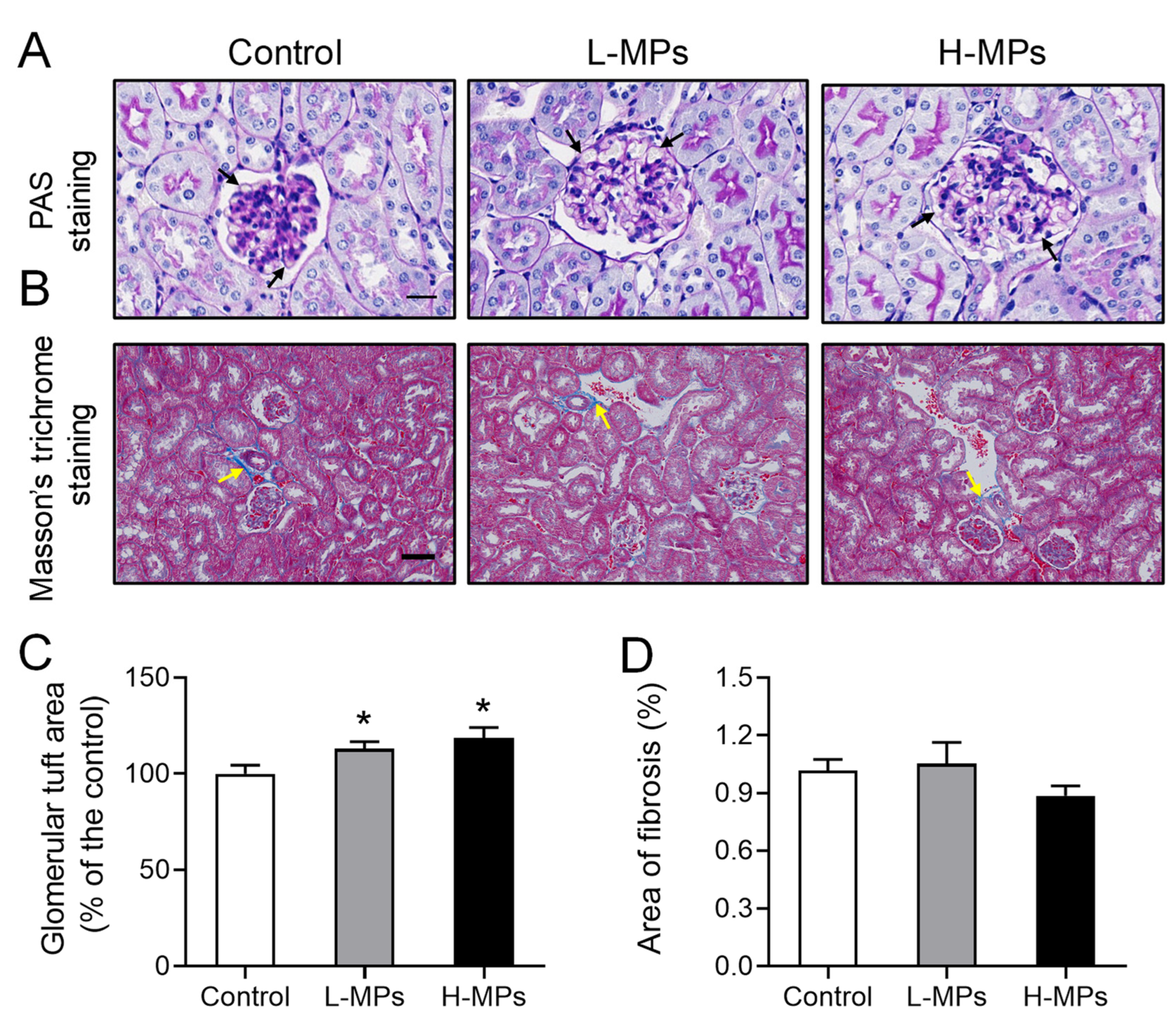Molecules 28 07104 g002