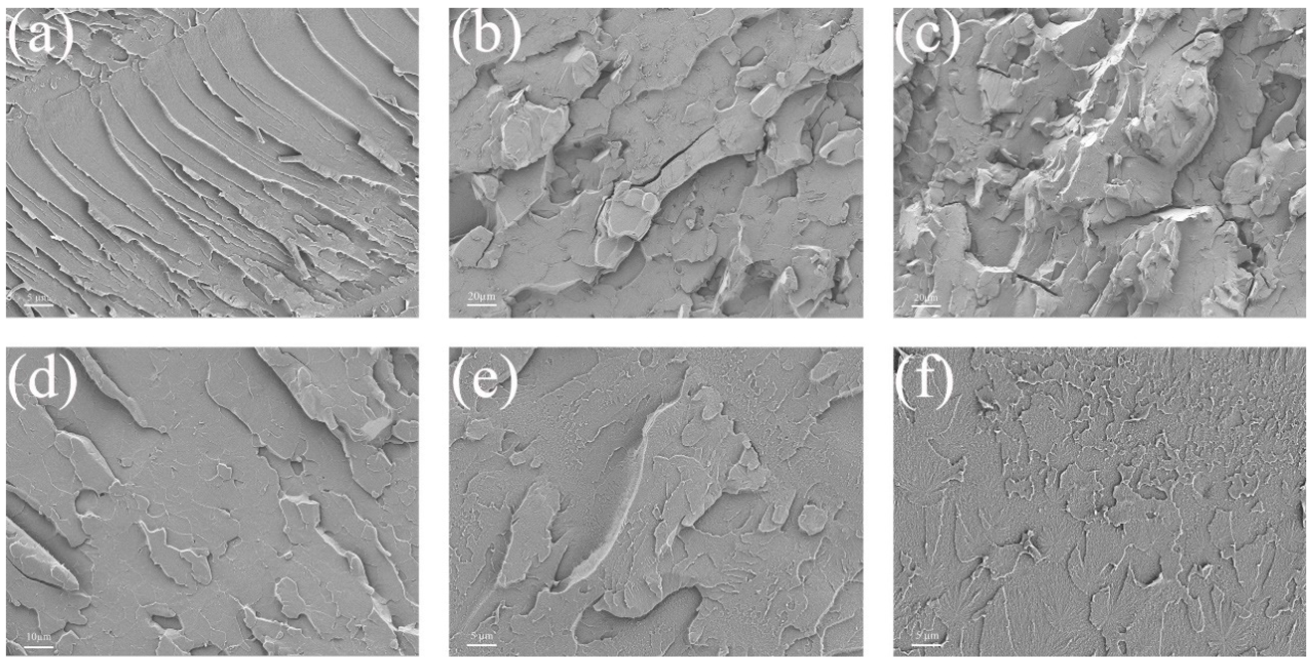 Molecules 28 07106 g010