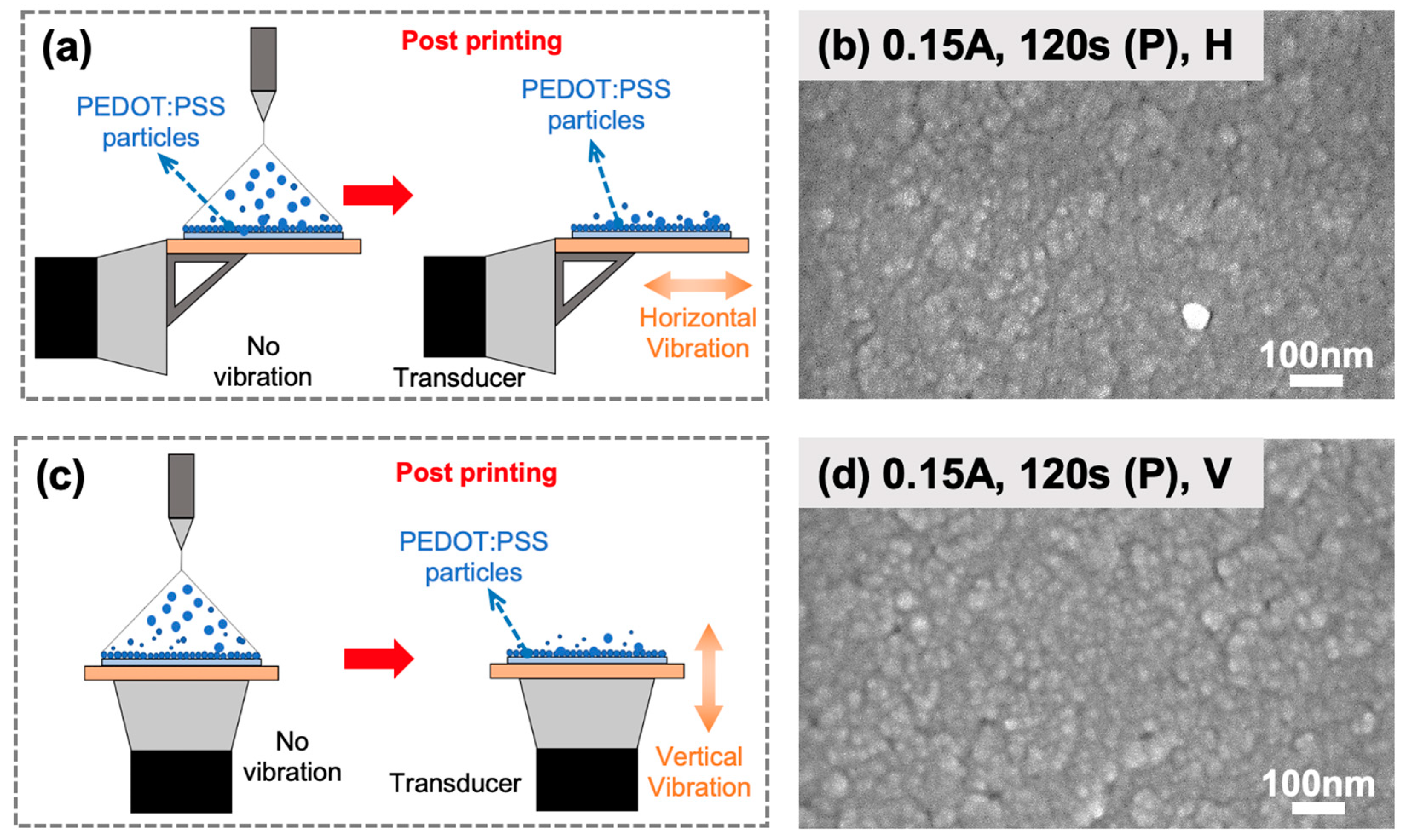 Molecules 28 07109 g003
