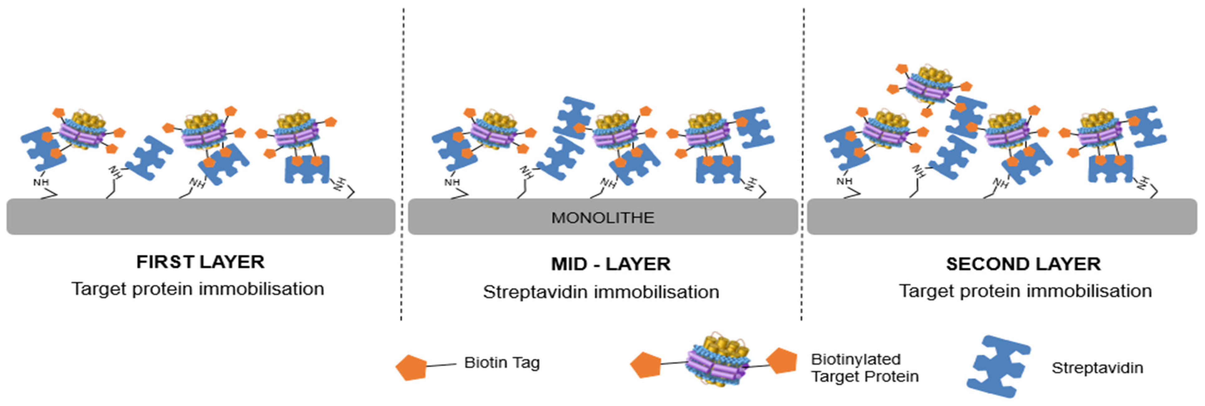Molecules 28 07113 g003