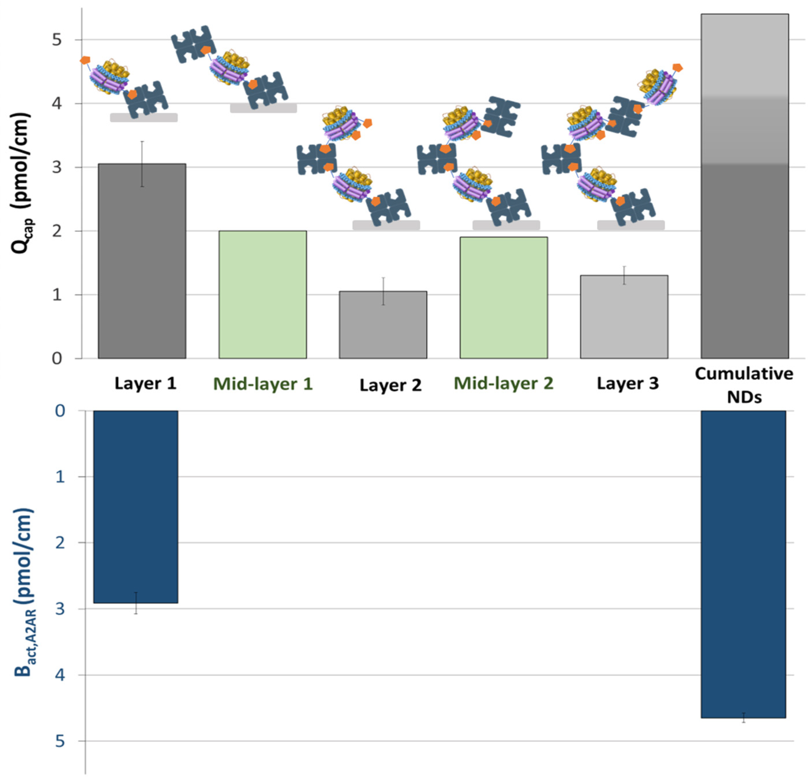 Molecules 28 07113 g004