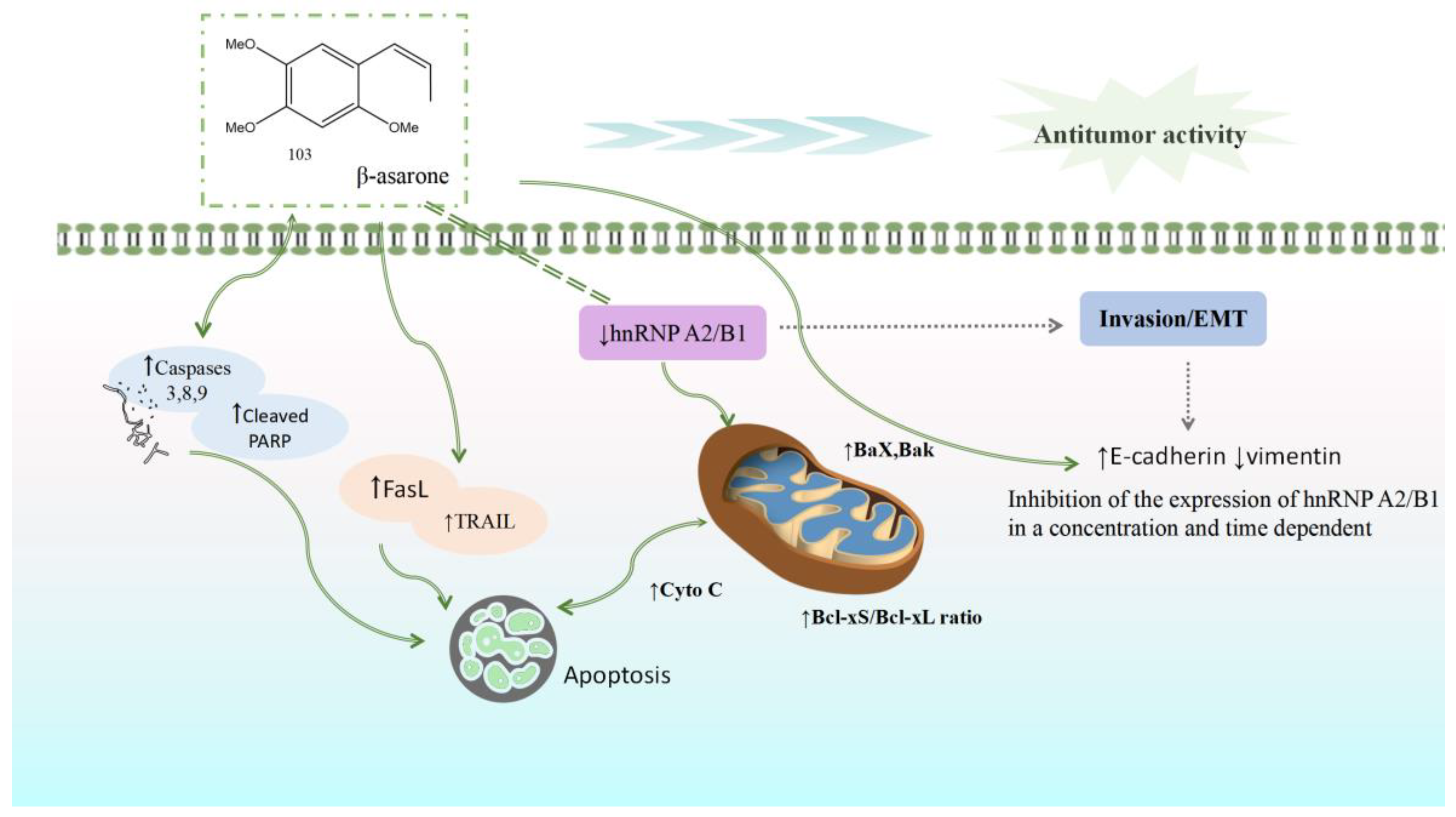 Molecules 28 07117 g012