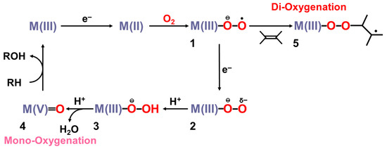 The Nature of the Chemical Bonds of High-Valent Transition