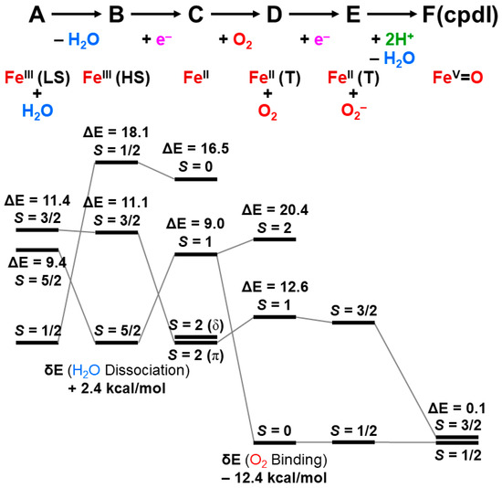 The Nature of the Chemical Bonds of High-Valent Transition